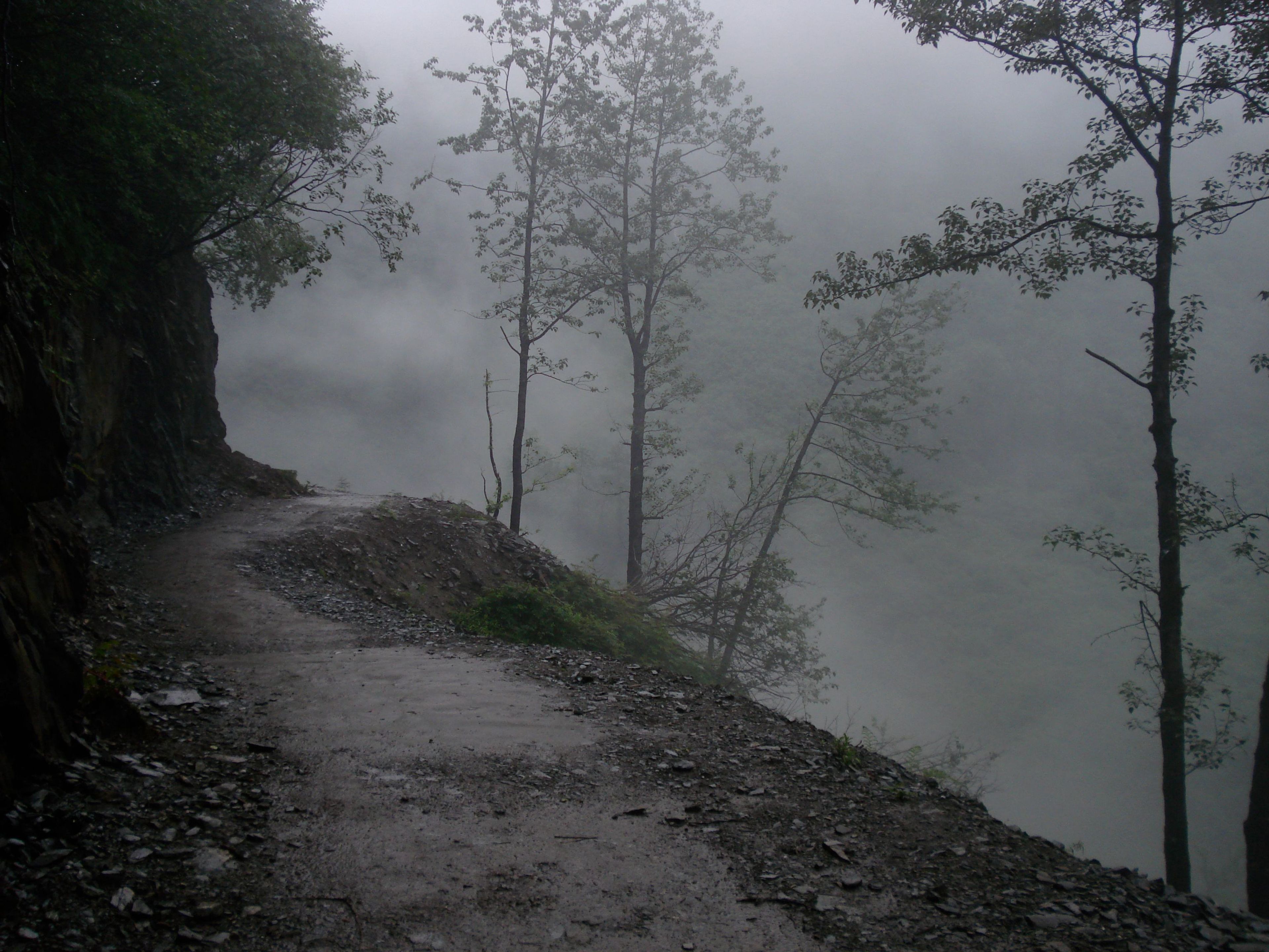 Trail near Last Chance Mine Museum. Photo by Catherine Horiuchi.