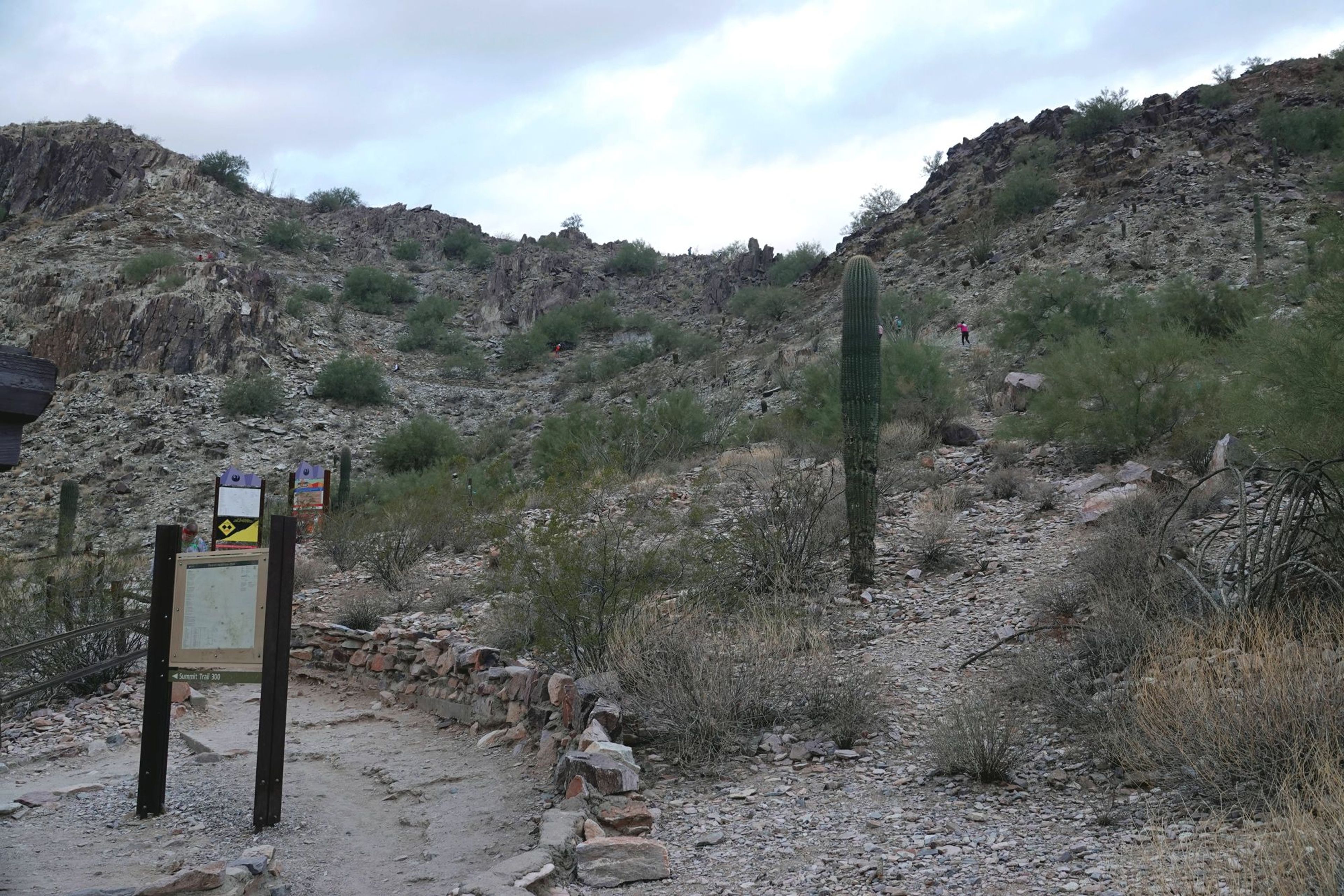 Piestewa Peak - early part of the trail - switchbacks up to the ridge line. Photo by Jim Walla.