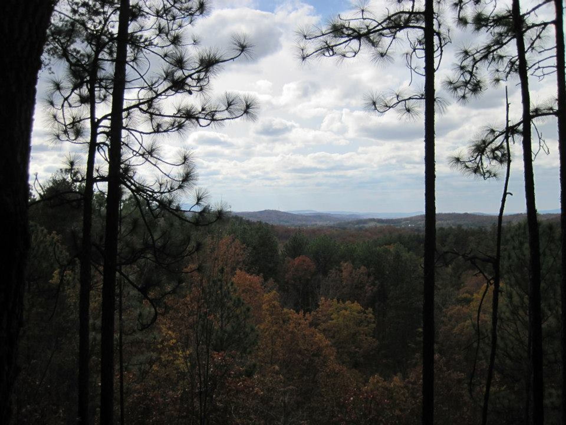 Scenic view on trail. Photo by Callie Thornton.