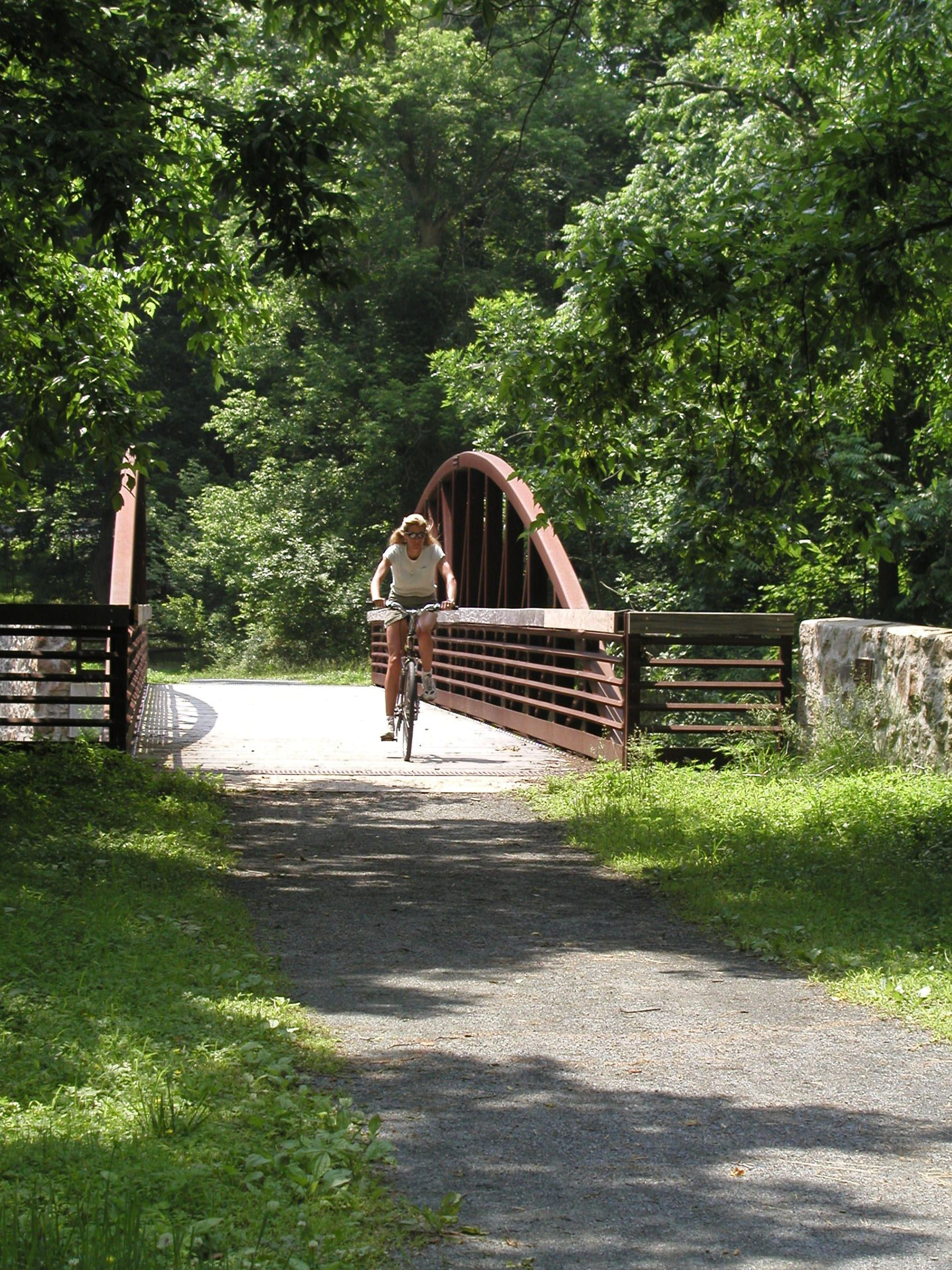 Biker on the Pomeroy Trail in White Clay Creek State Park. Photo by Avery Dunn.