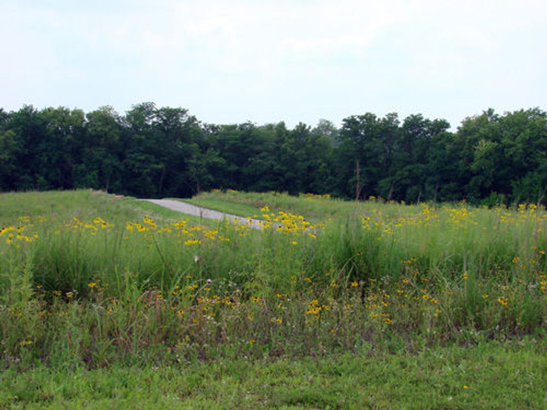 Greenway trail.