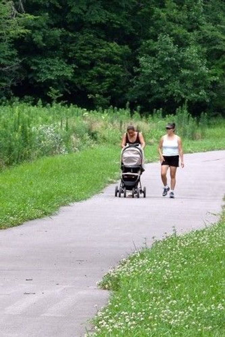 Walkers on trail.