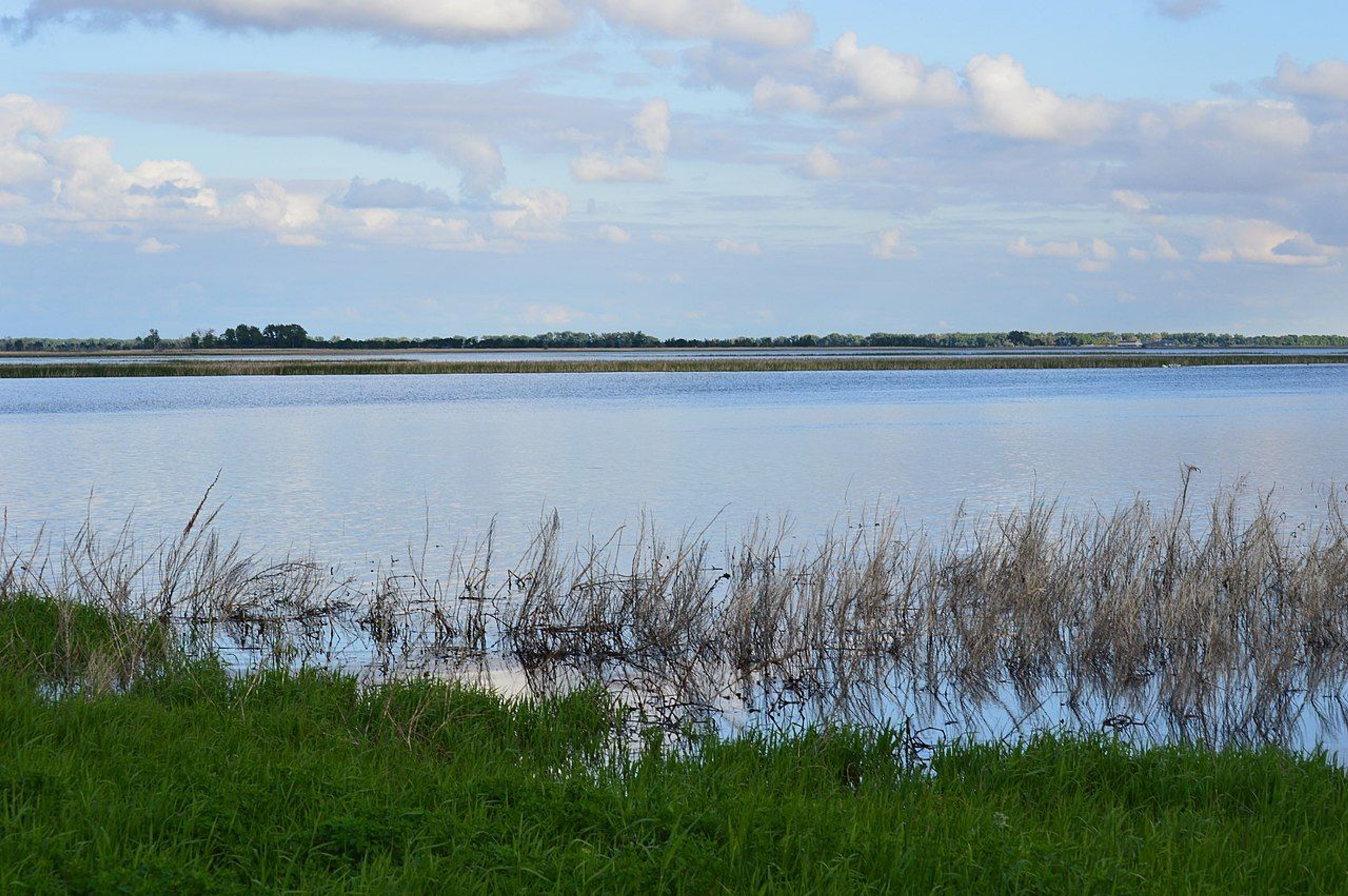 Scenery and wildlife at Sand Lake National Wildlife Refuge in South Dakota. Photo by USFWS.