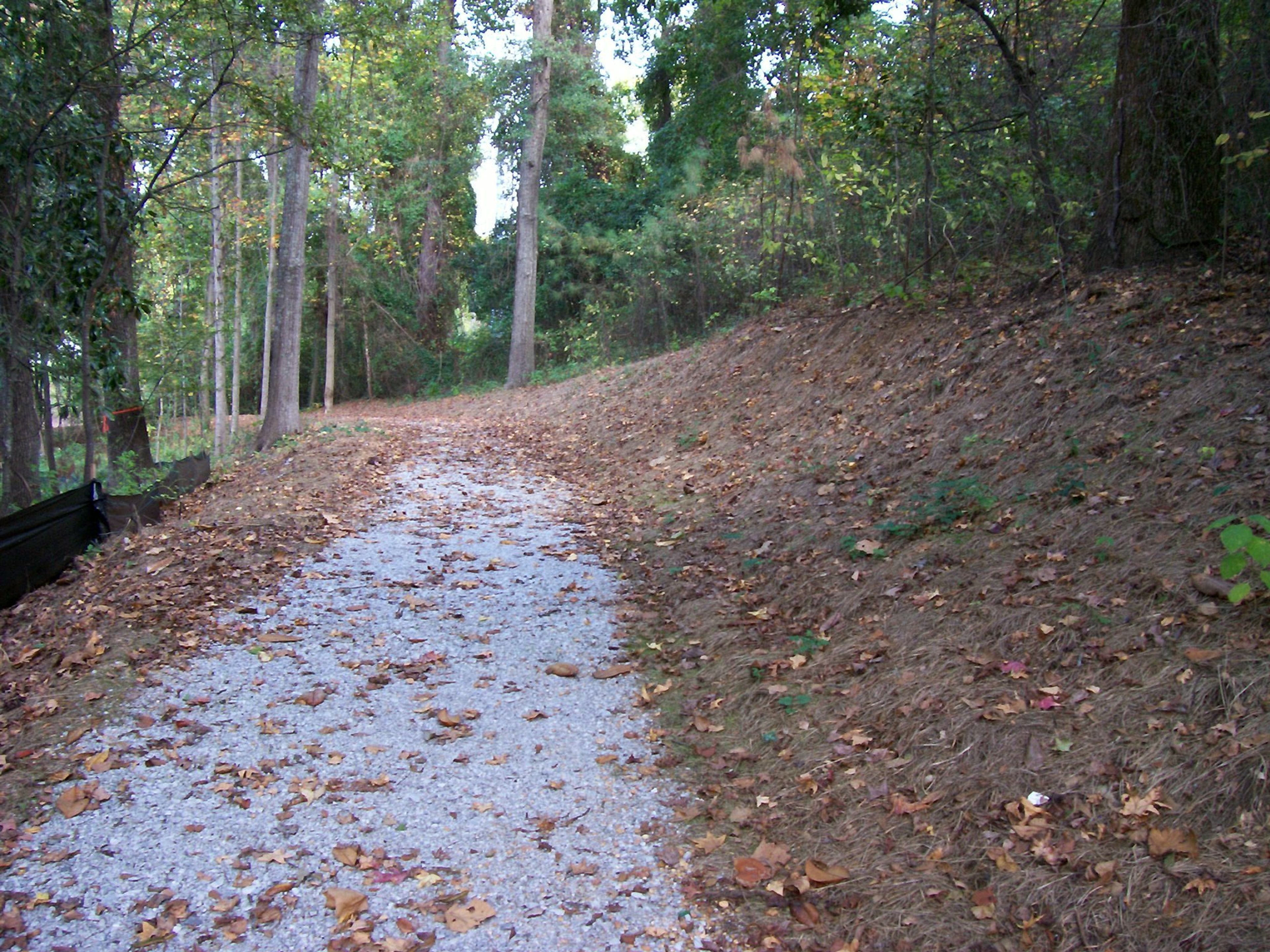 Photo by Tuscaloosa County Park and Rec.