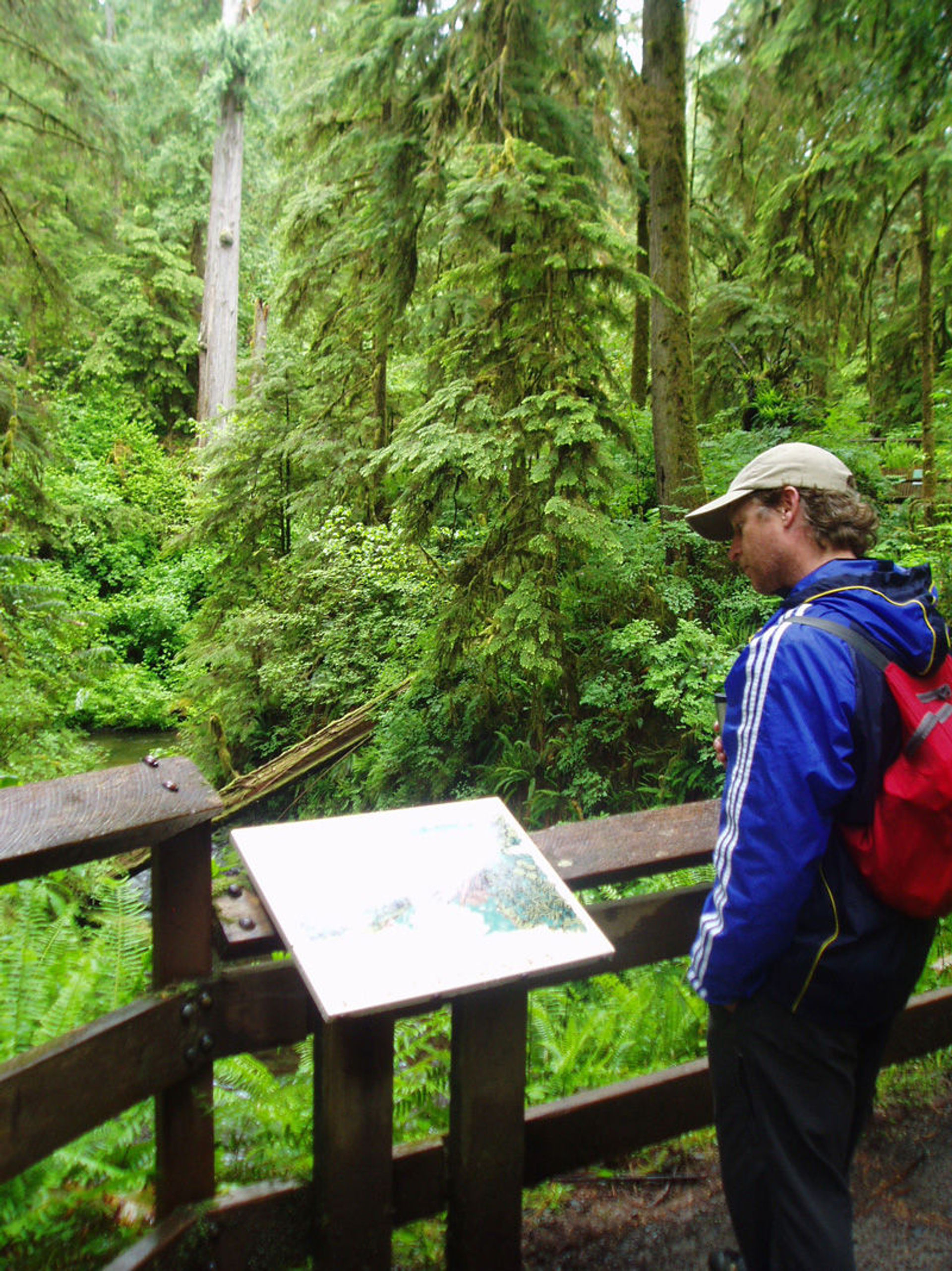 Interpretive signage on trail. Photo by USFS.