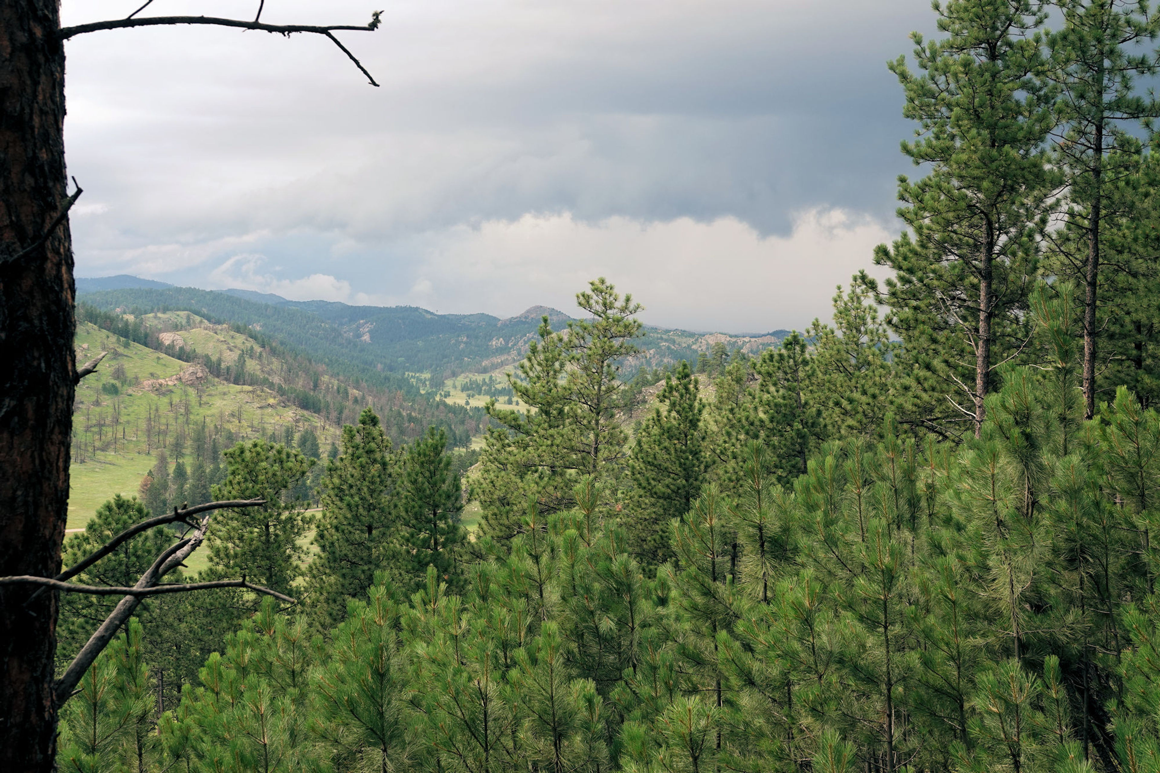 Rankin Ridge - View from western side of the loop - 7-16-18. Photo by Jim Walla.