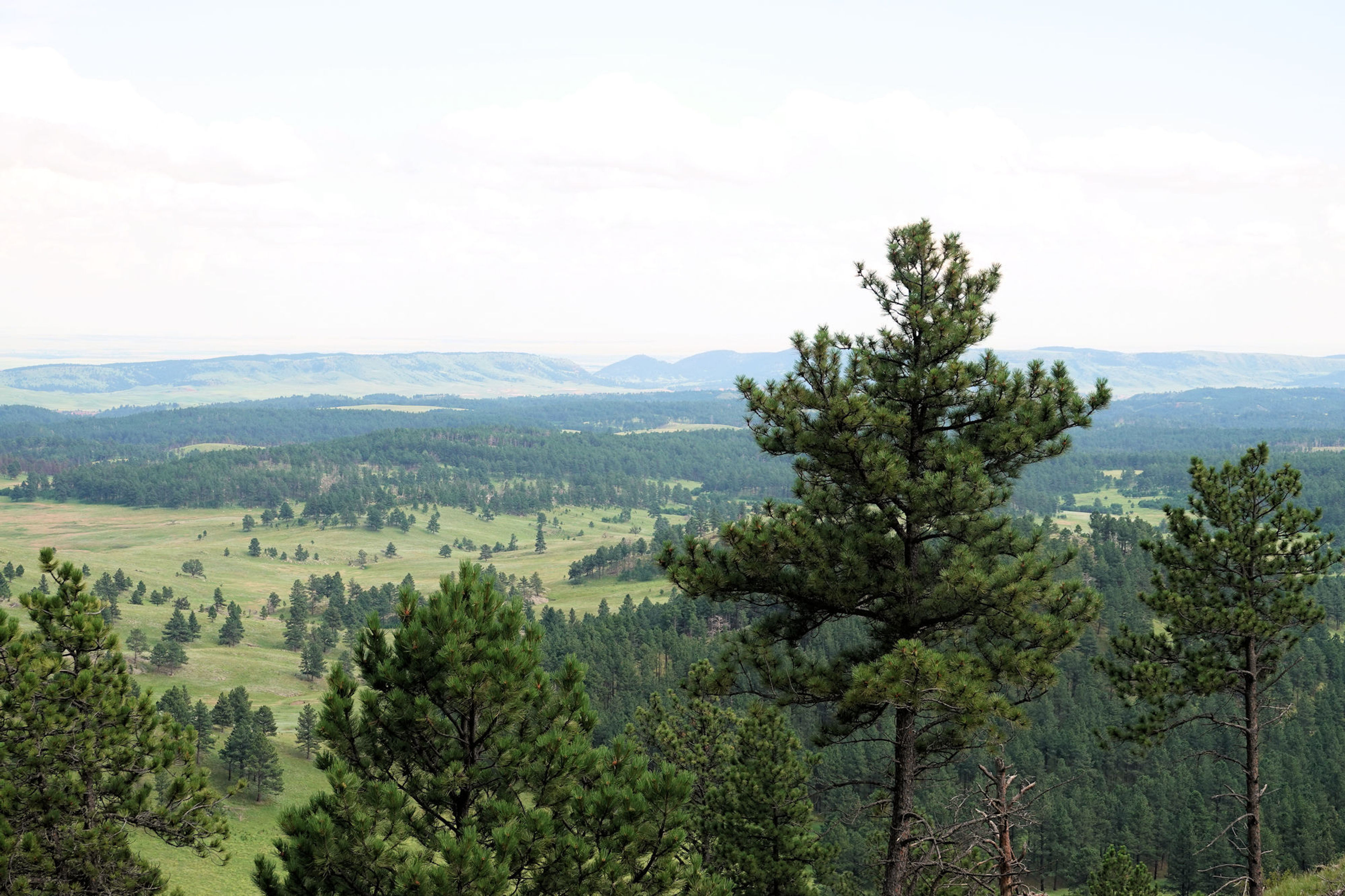 Rankin Ridge - View from fire tower - 7-16-18. Photo by Jim Walla.