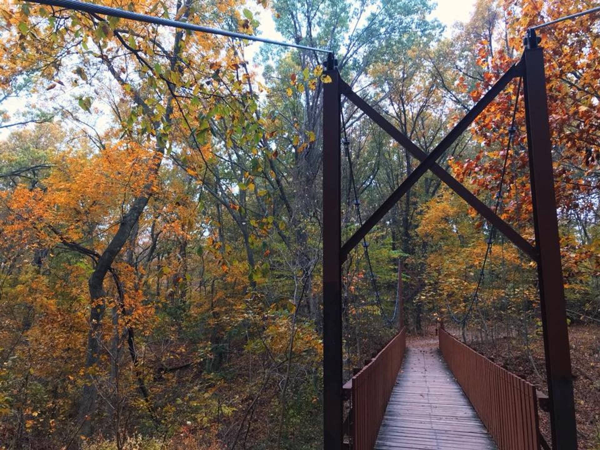 Ray Harral Nature Park suspension bridge