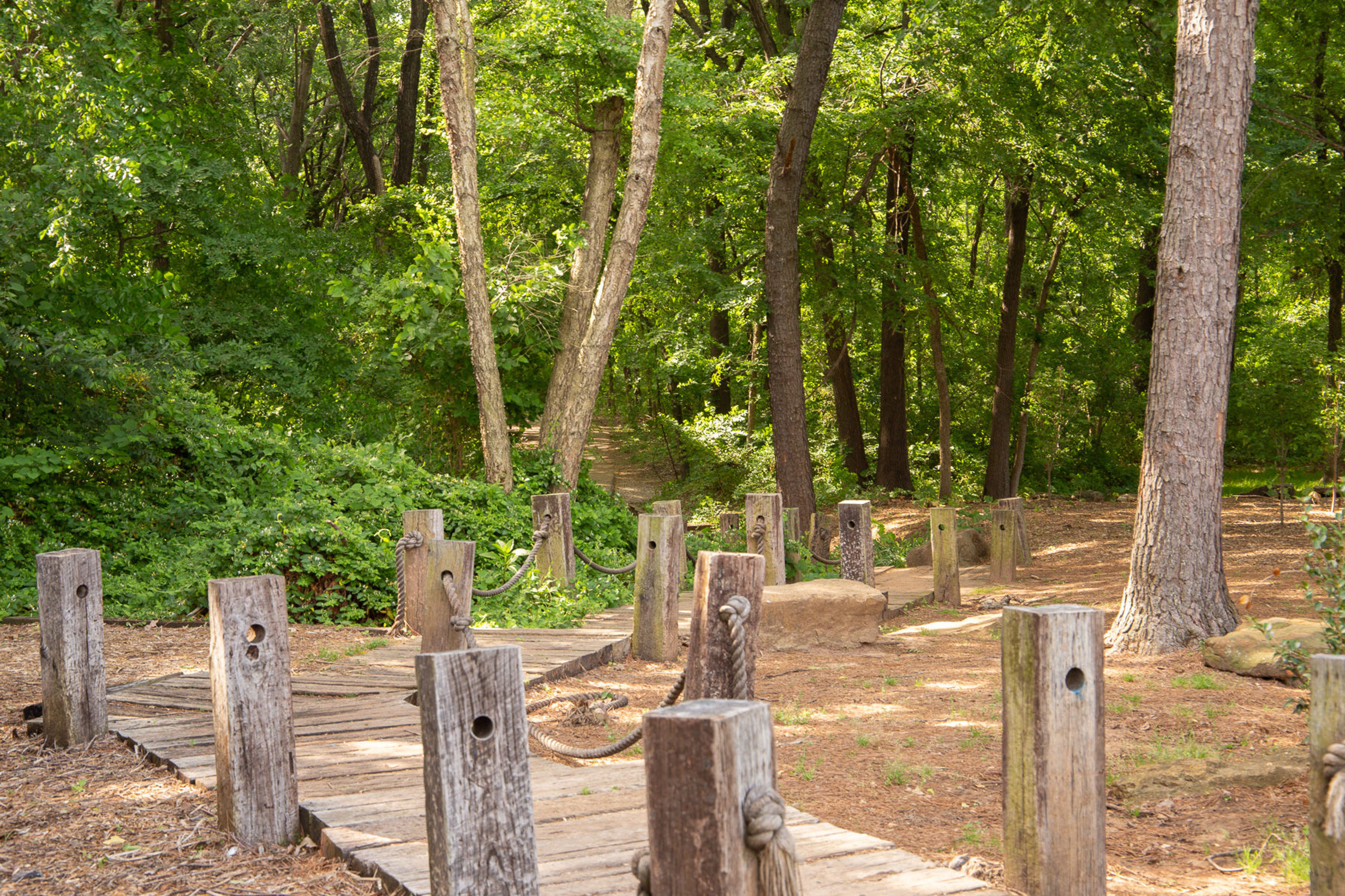 Ray Harral Nature Park trail