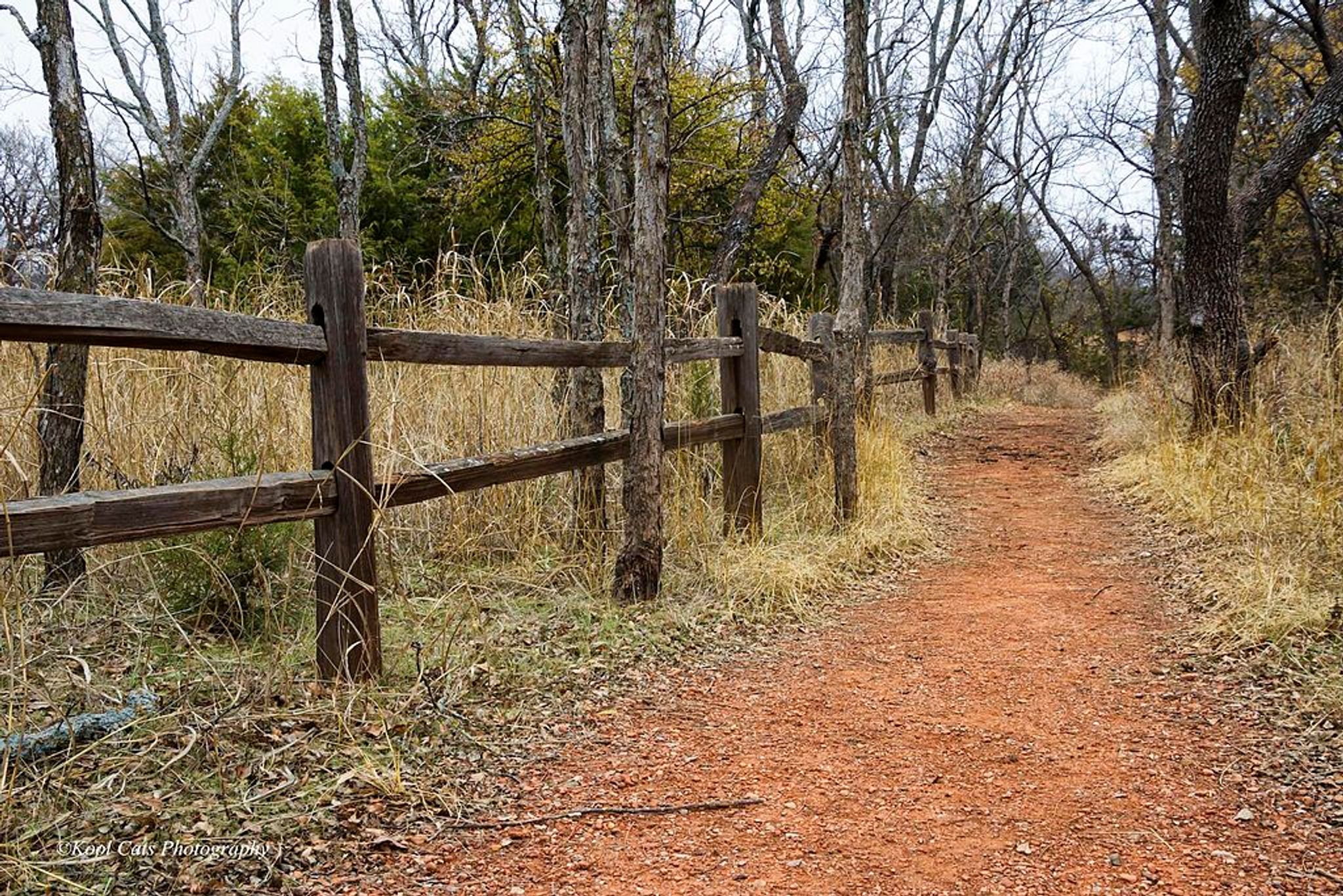 Trail in Martin Park Nature Center, Oklahoma City, OK. Photo by Kool Casts Photography.