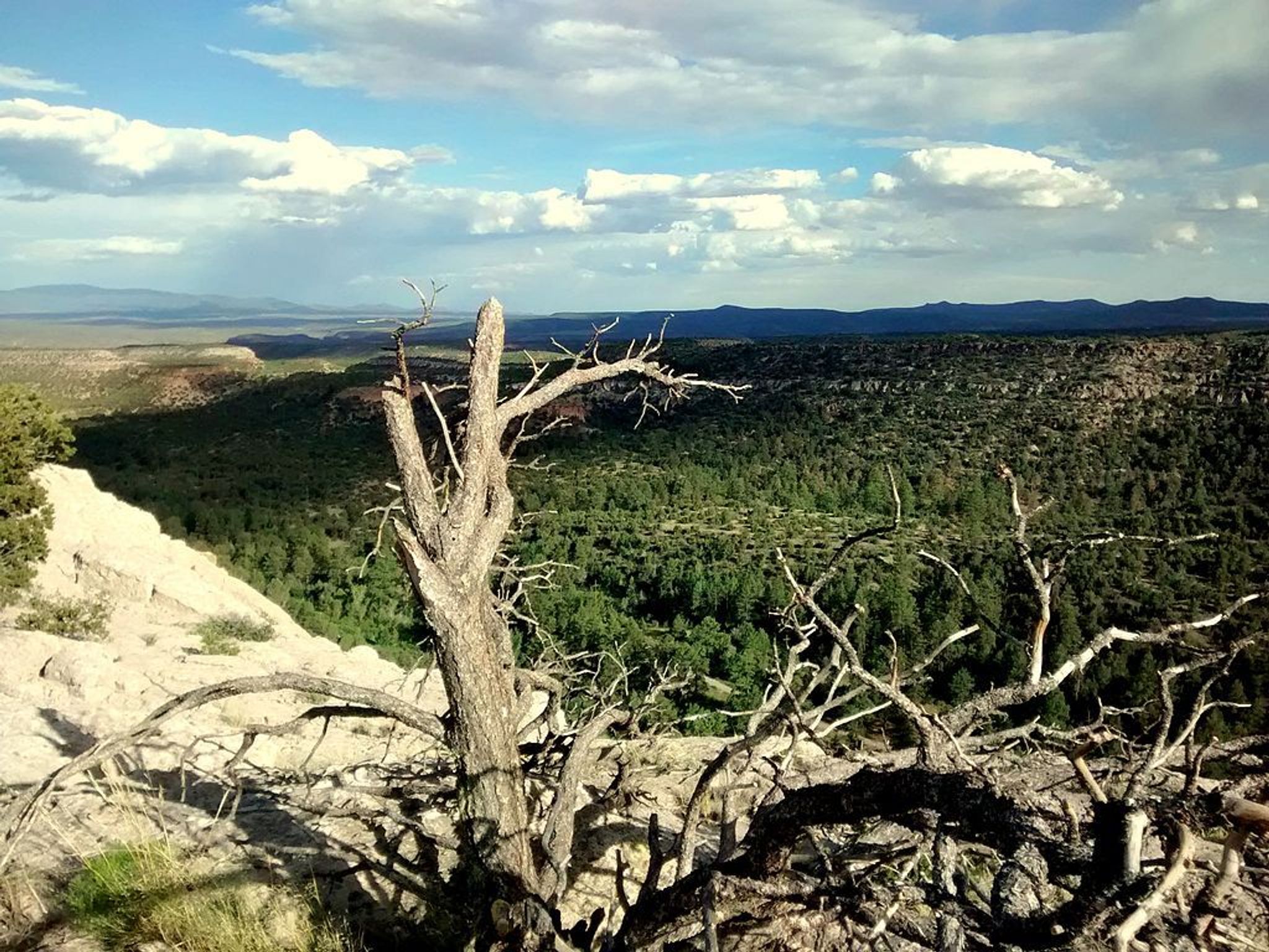 East Rim Trail. Photo by Aaron Zhu.