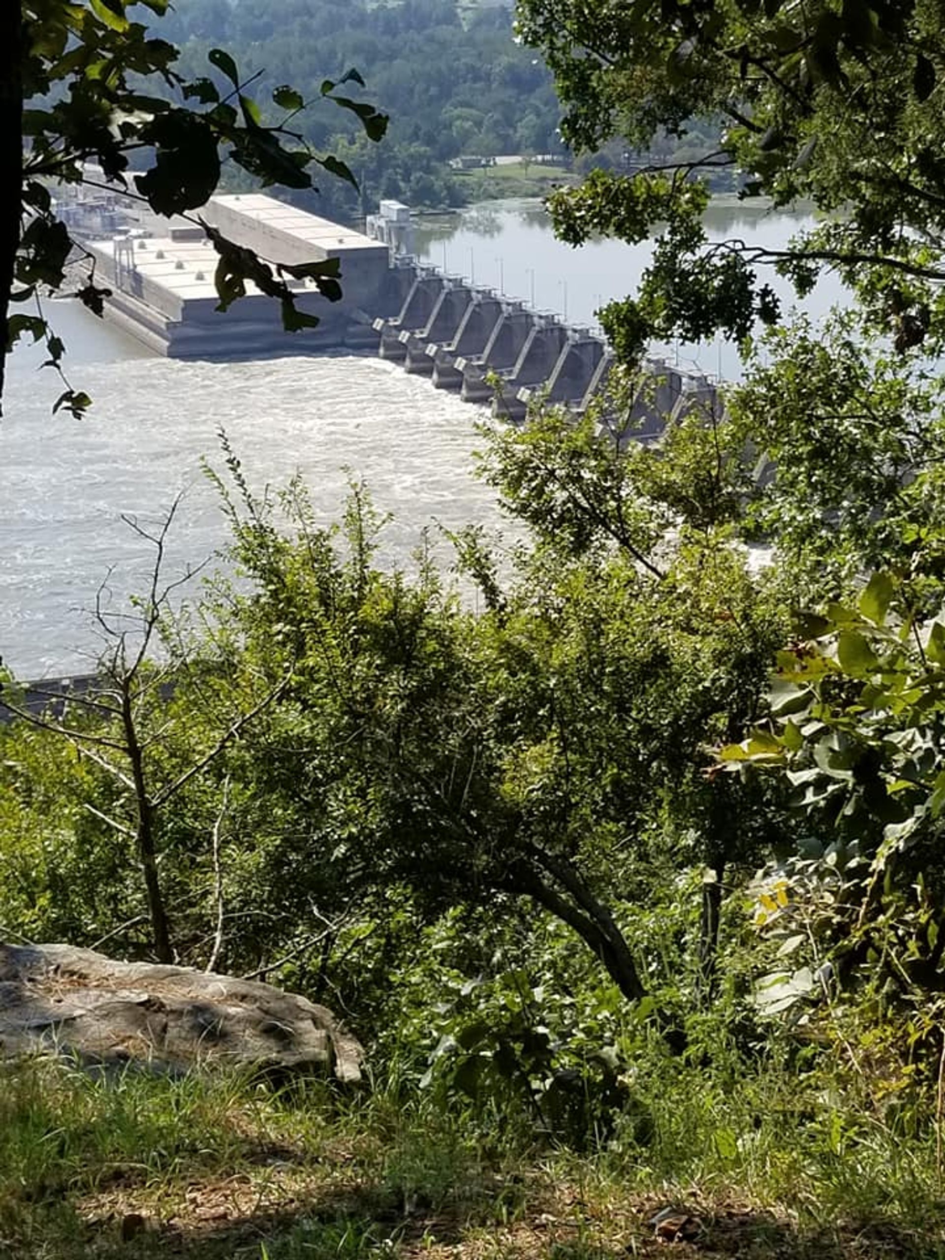 View of Ozark Lake and dam from bluff overlook. Photo by Barbara Reed.