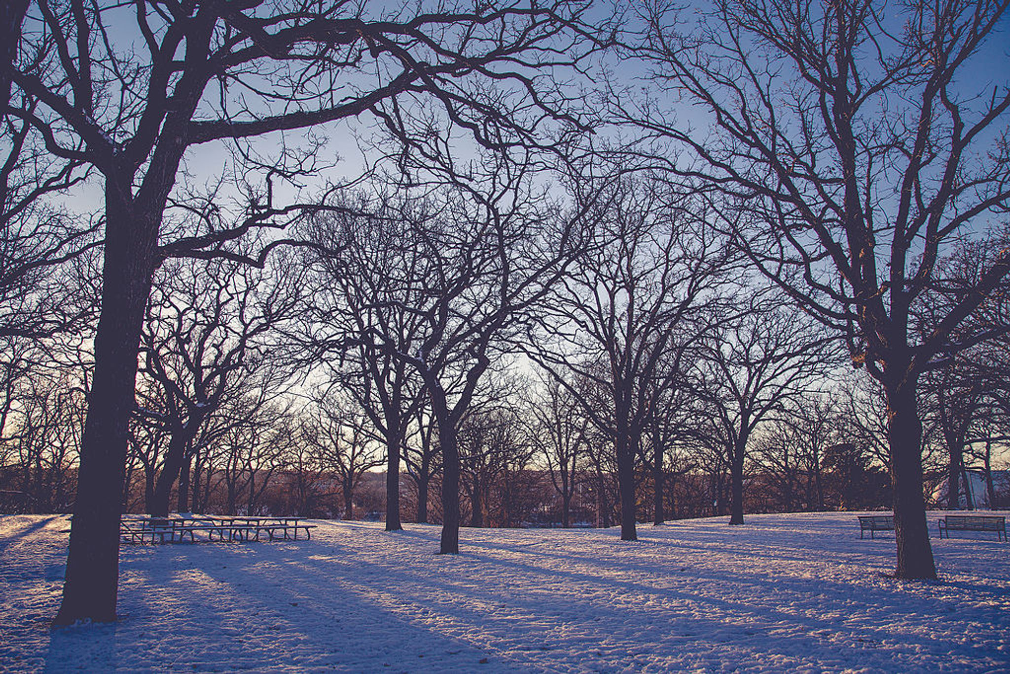 Park in winter. Photo by Tony Webster/wiki.