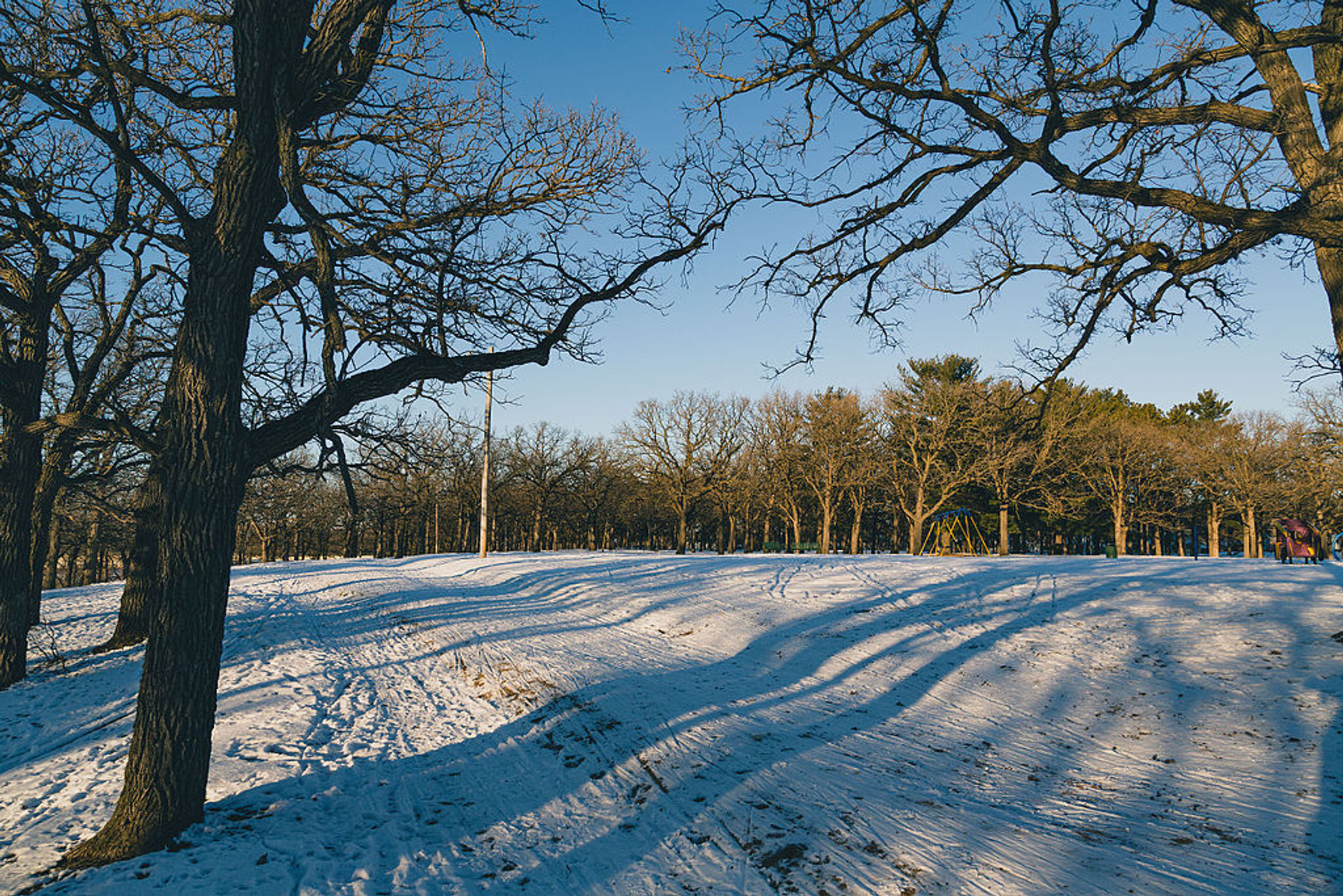 Riverside Park ski trail. Photo by Tony Webster/wiki.