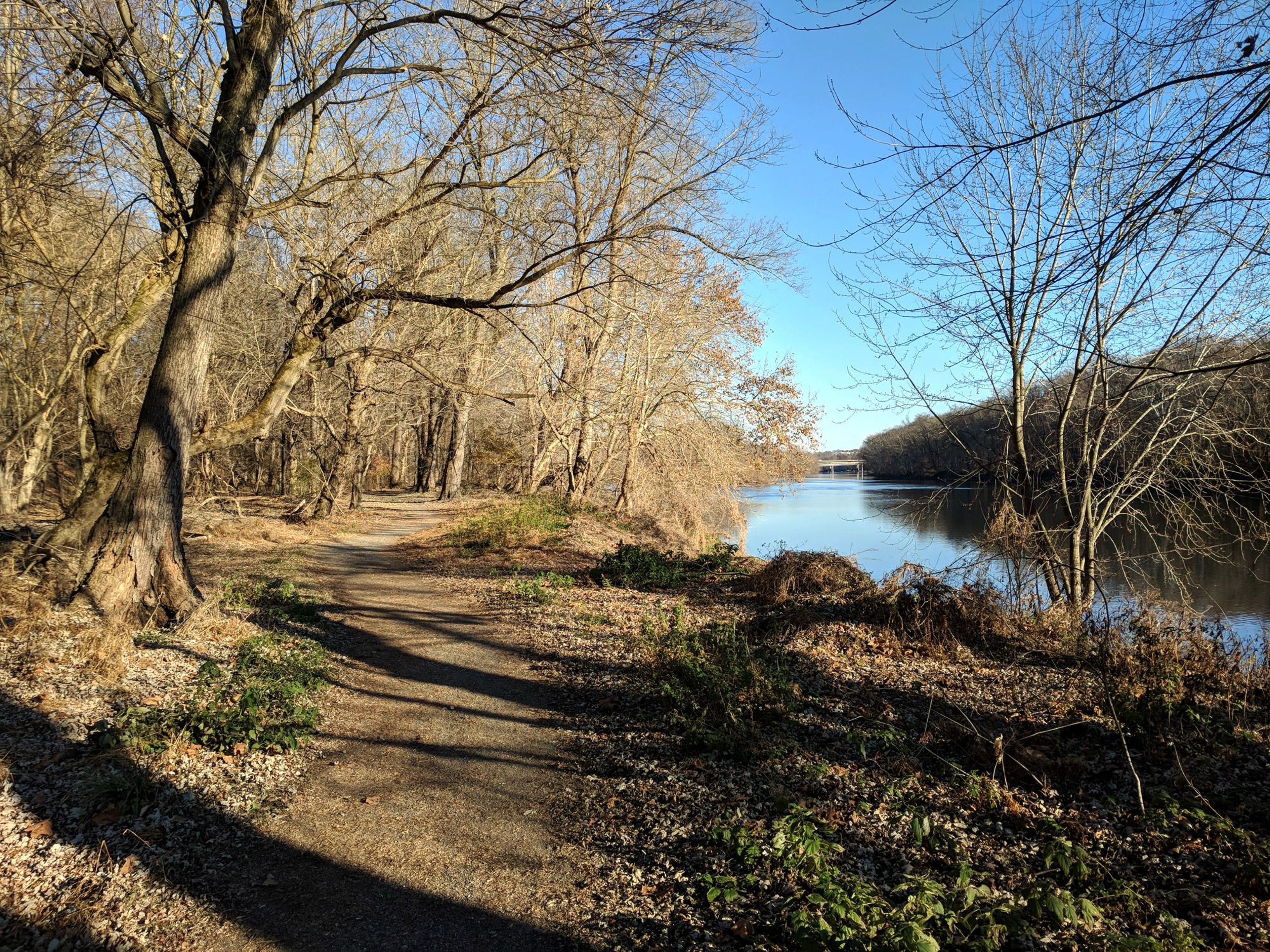 River Trail at Valley Forge NHP - 11-28-2017. Photo by Jim Walla.