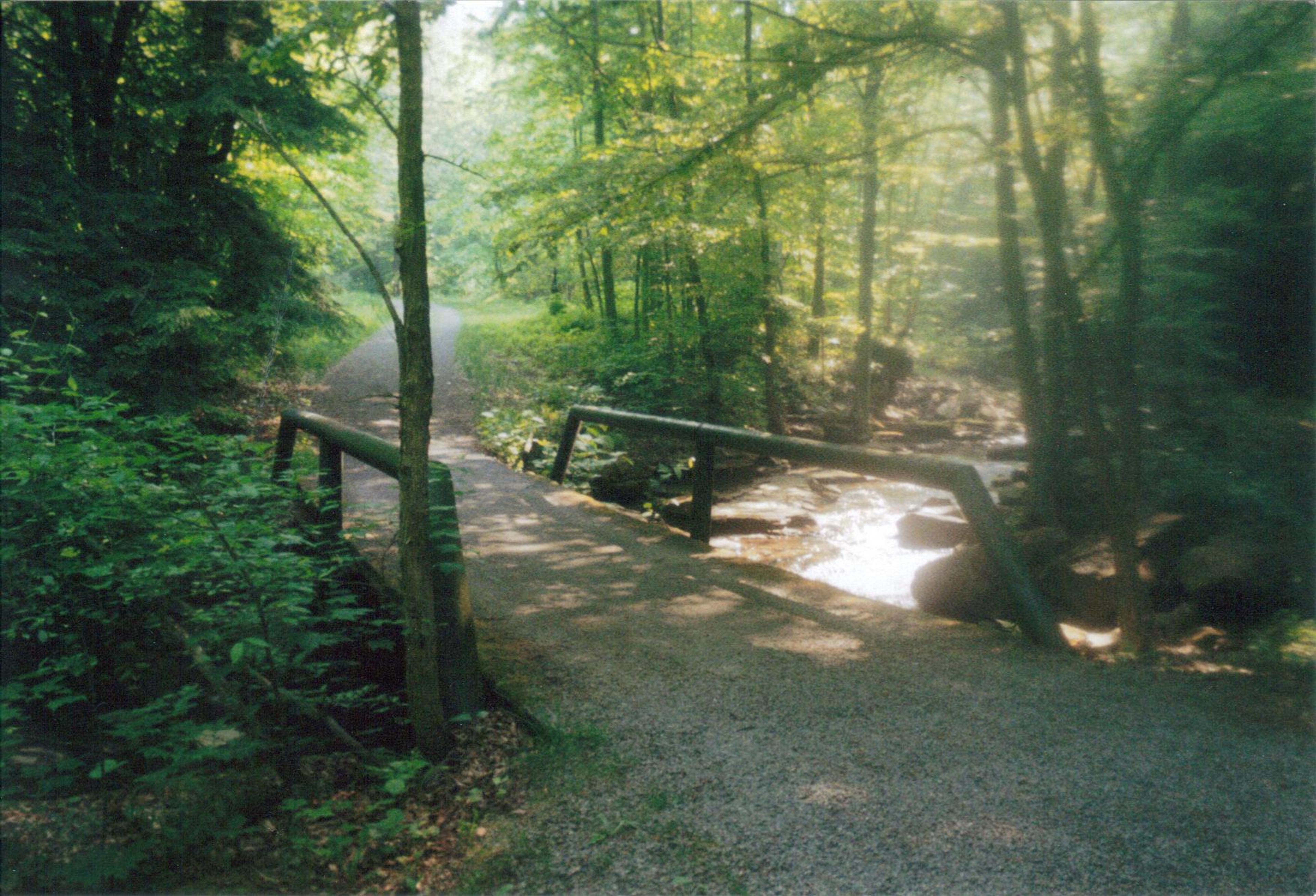 Small bridge over Roaring Run.