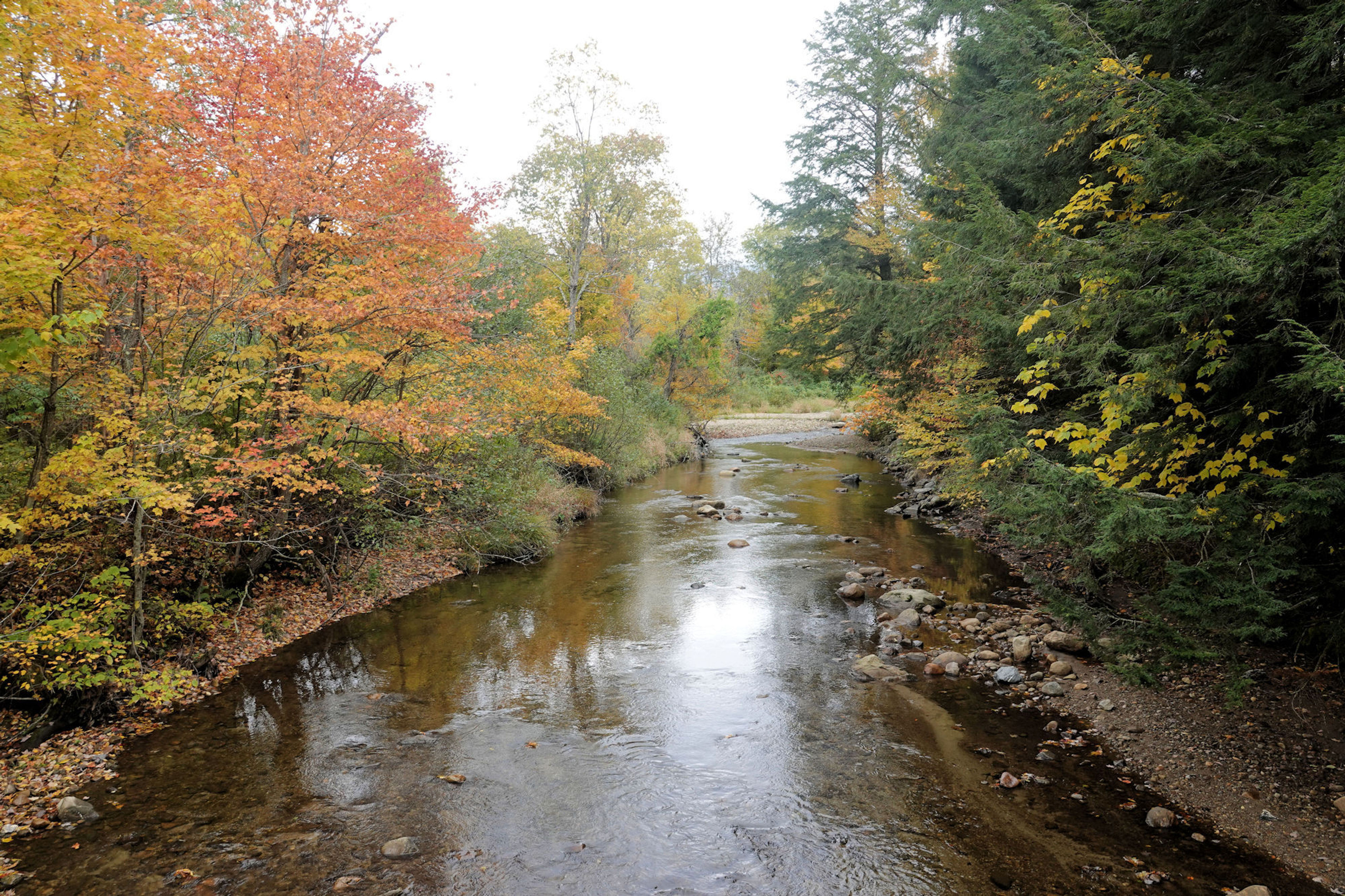 Robert Frost Trail - 10-9-2018. Photo by Jim Walla.