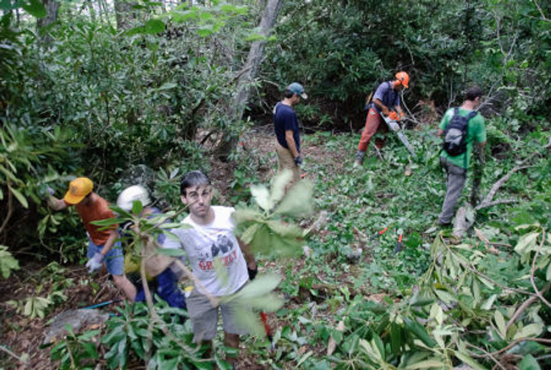 Volunteers clearing trail.