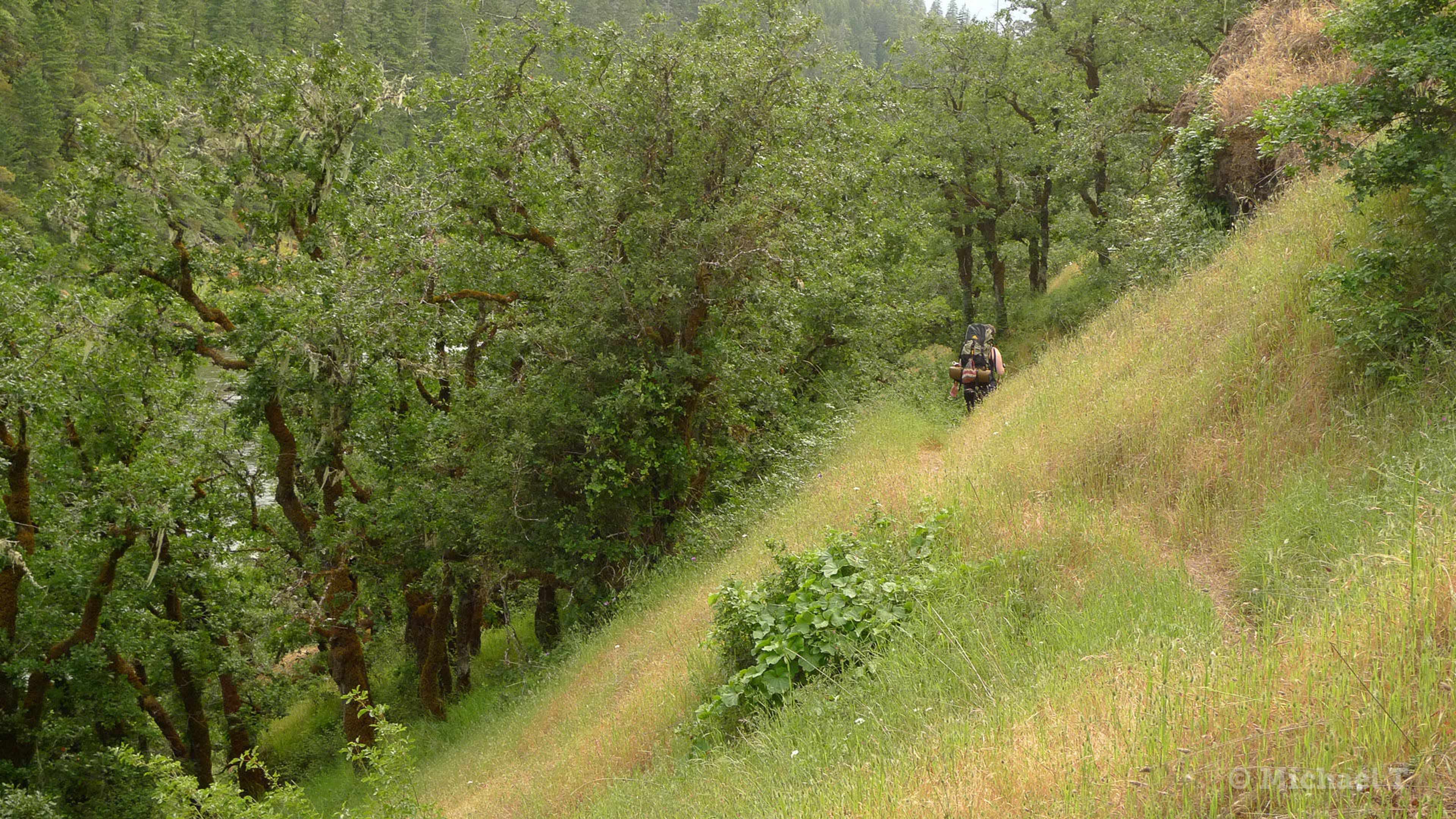 Rogue River Trail