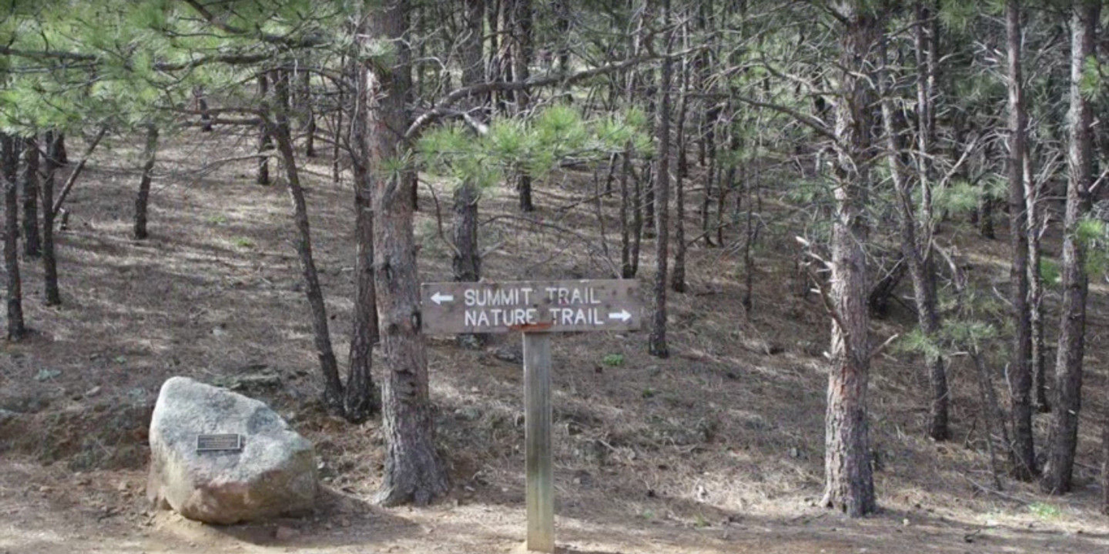 Follow the summit trail. Photo by https://www.uncovercolorado.co.