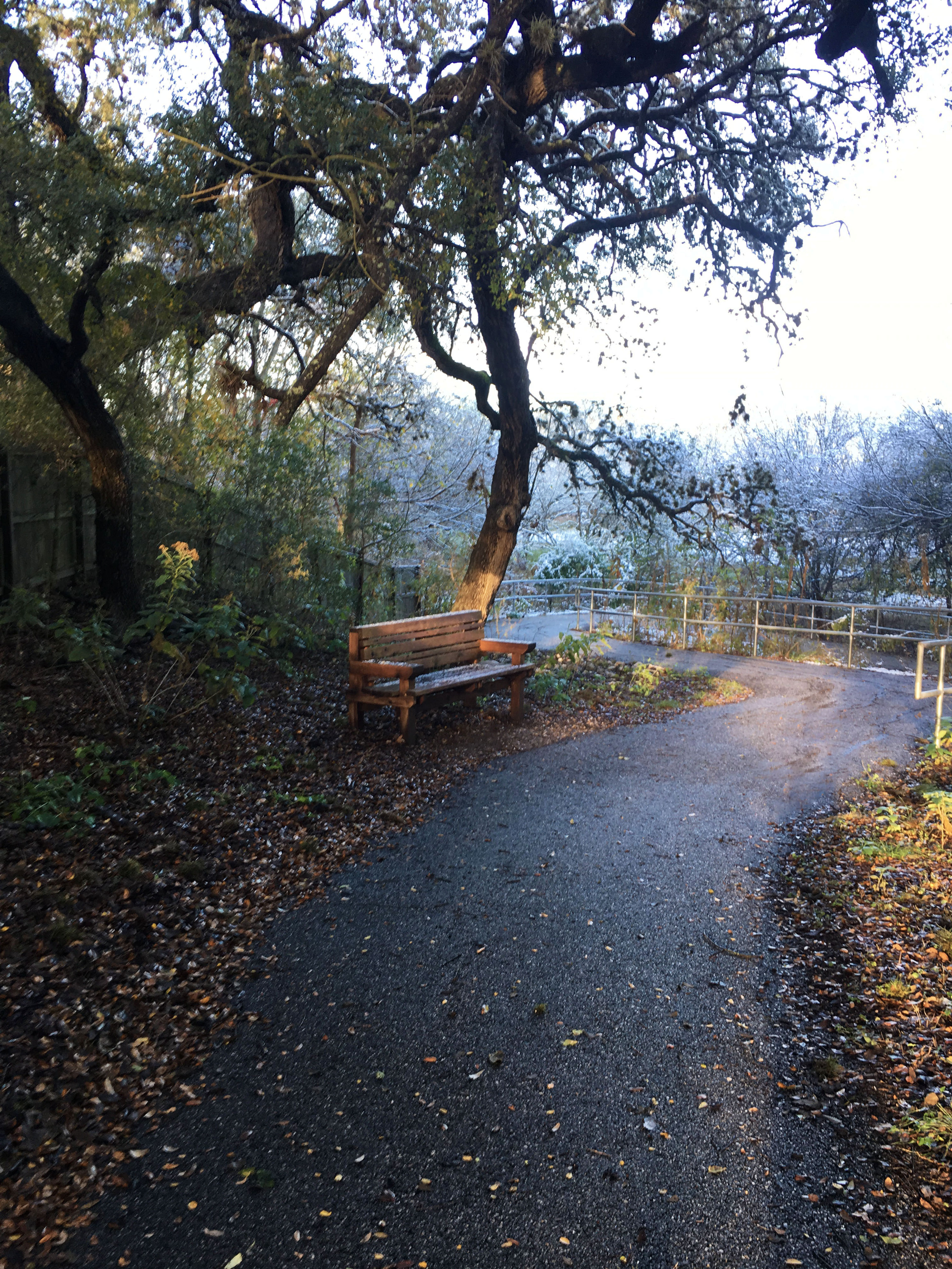 Salado Creek Greenway at Hardberger Trailhead. Photo by Adelyn Alanis.