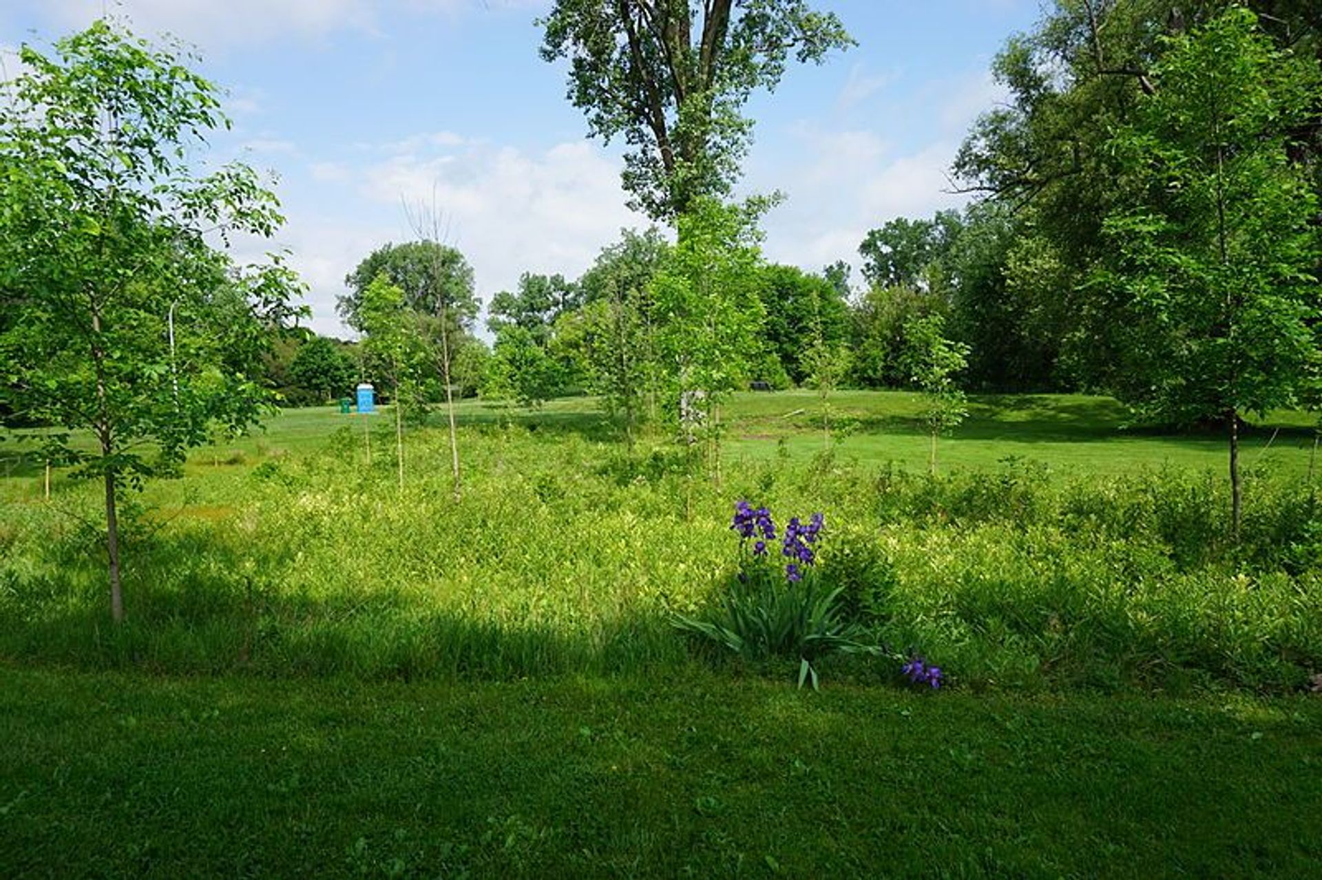 Curtiss Park. Photo by Michael Barera.