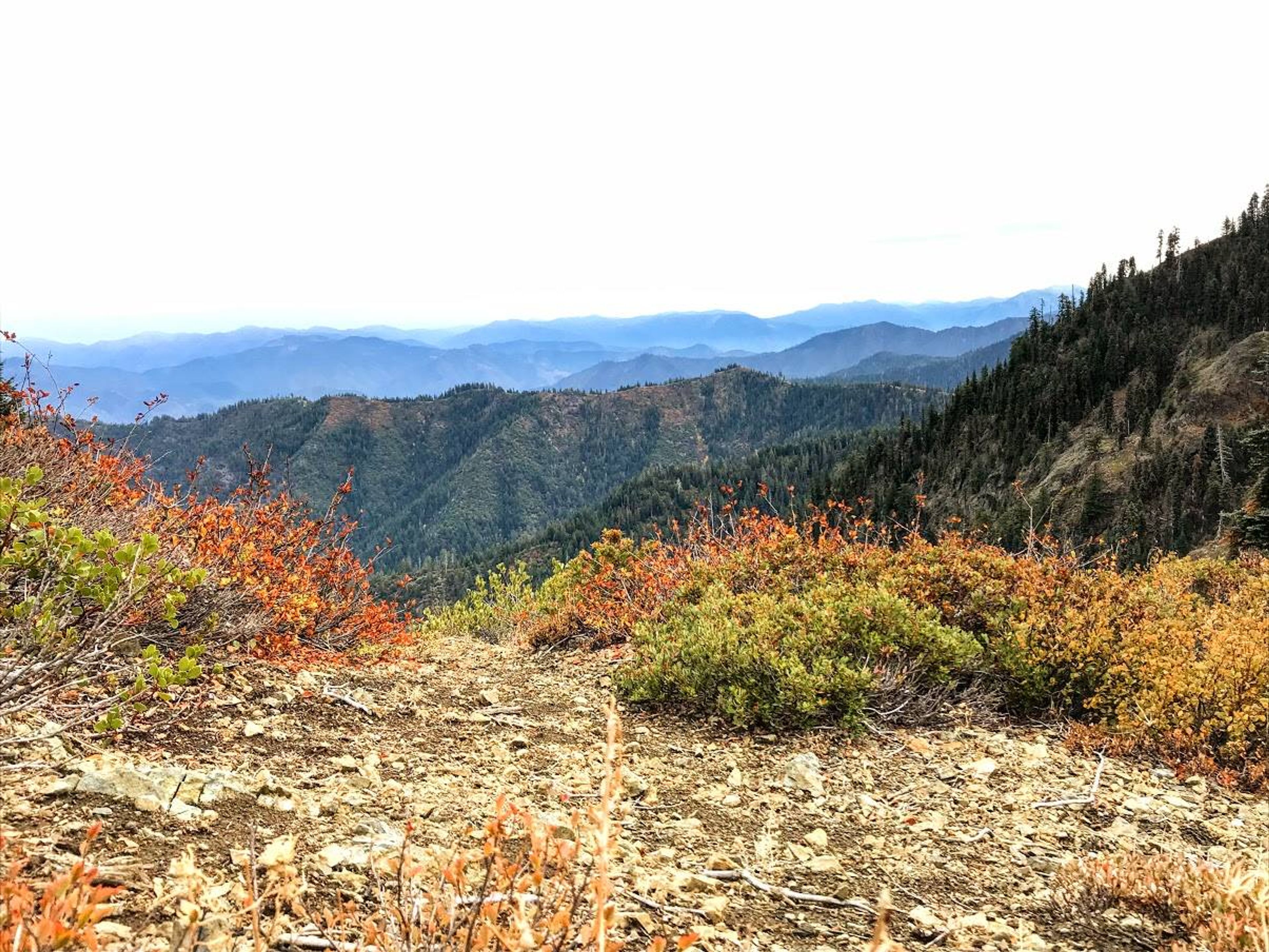 Salmon Summit Trail. Photo by Rob DiPerna.