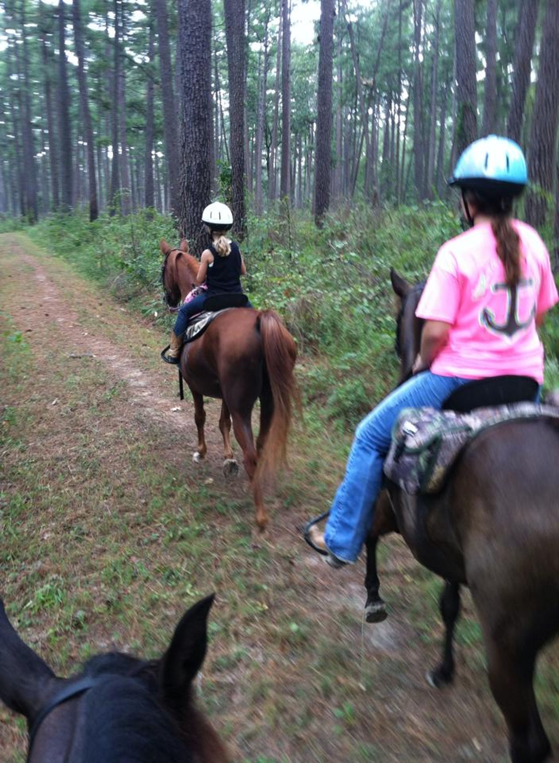 Young equestrians enjoying a ride on the trail. Photo by Donna Phillips.