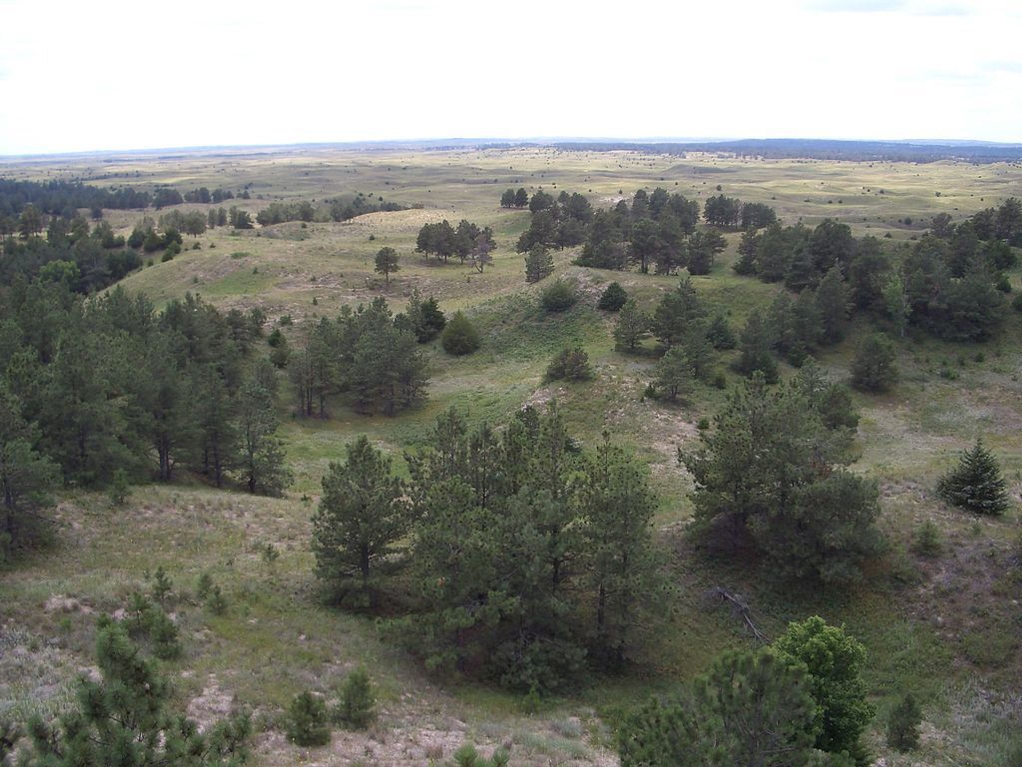 Photo taken from the top of Scotts Tower. Photo by Bkell.