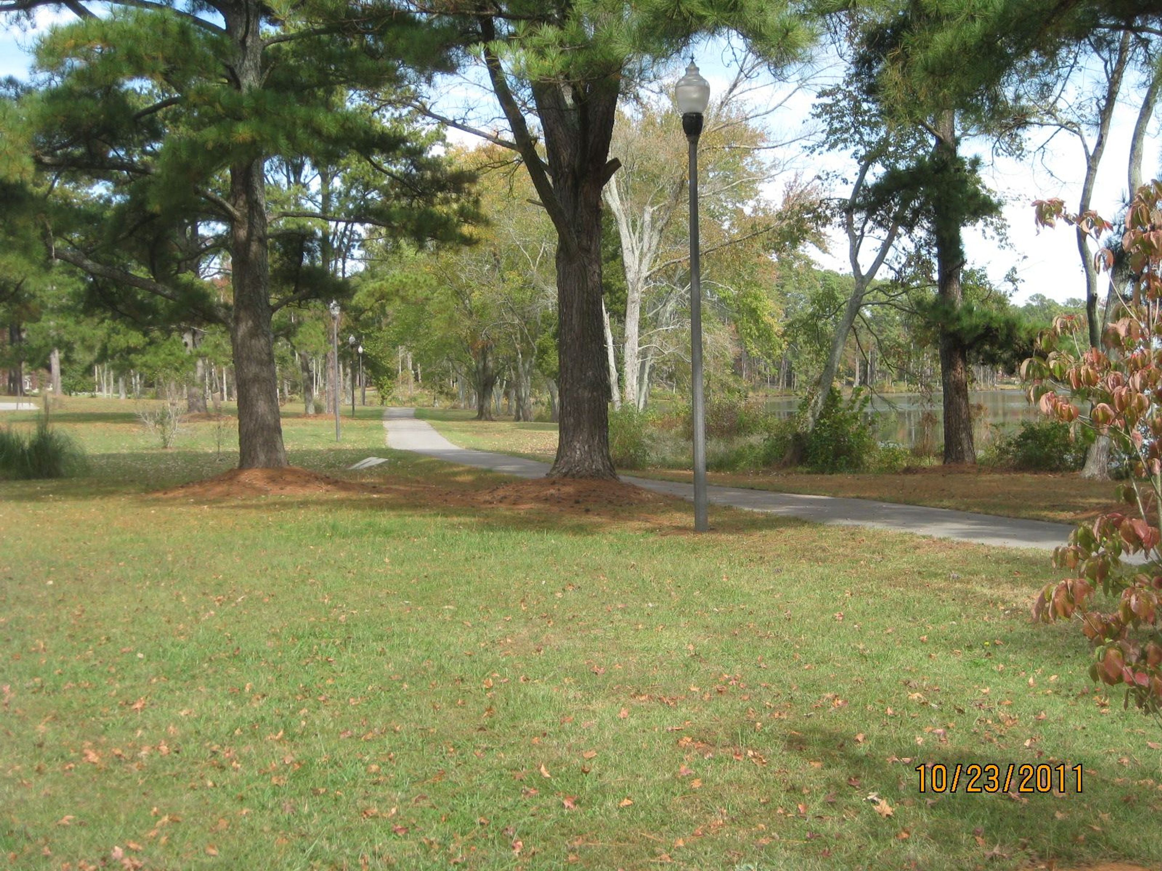 Trail past trees