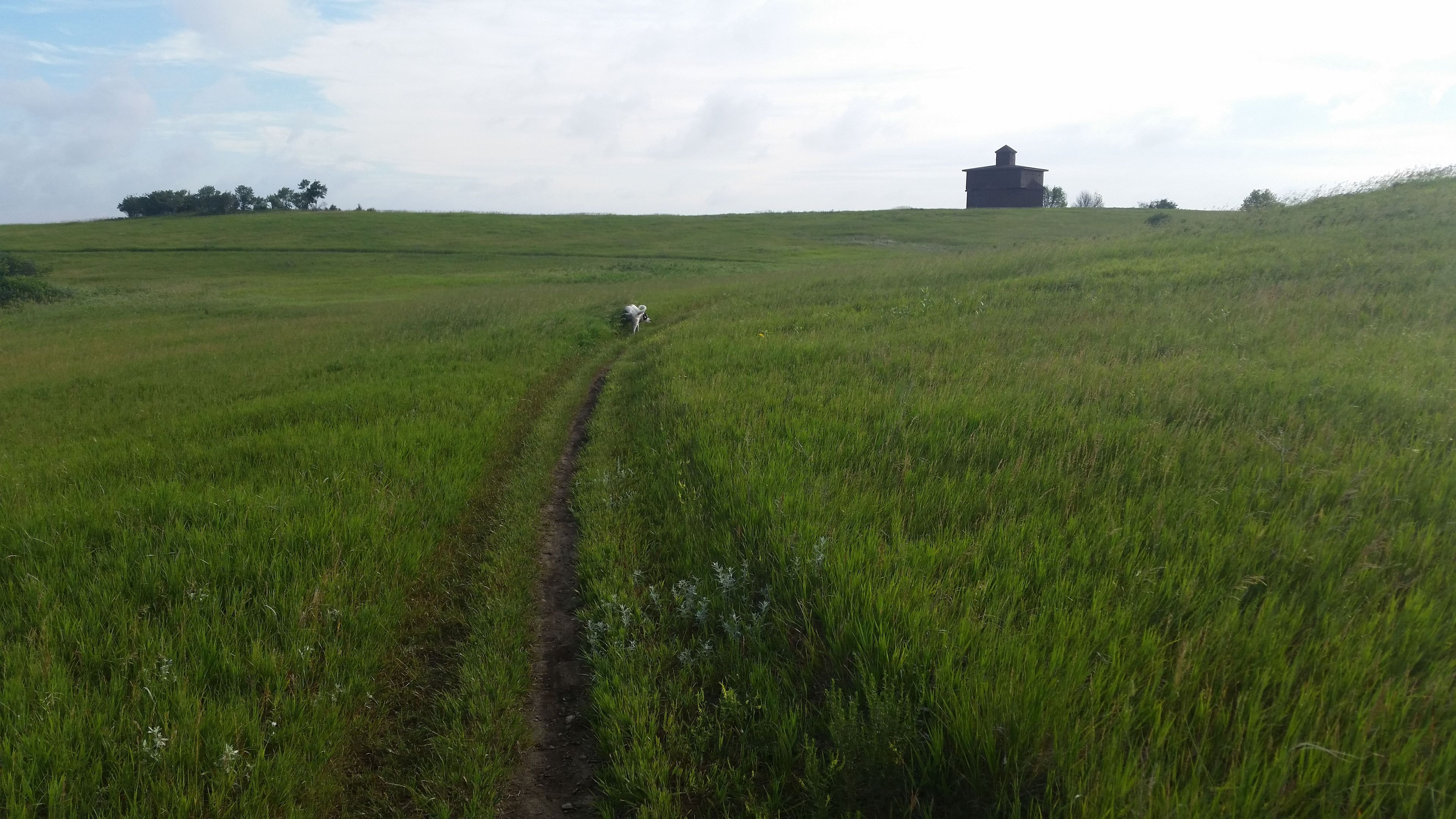 Trail by Block houses. Photo by Wendy Schmeichel.