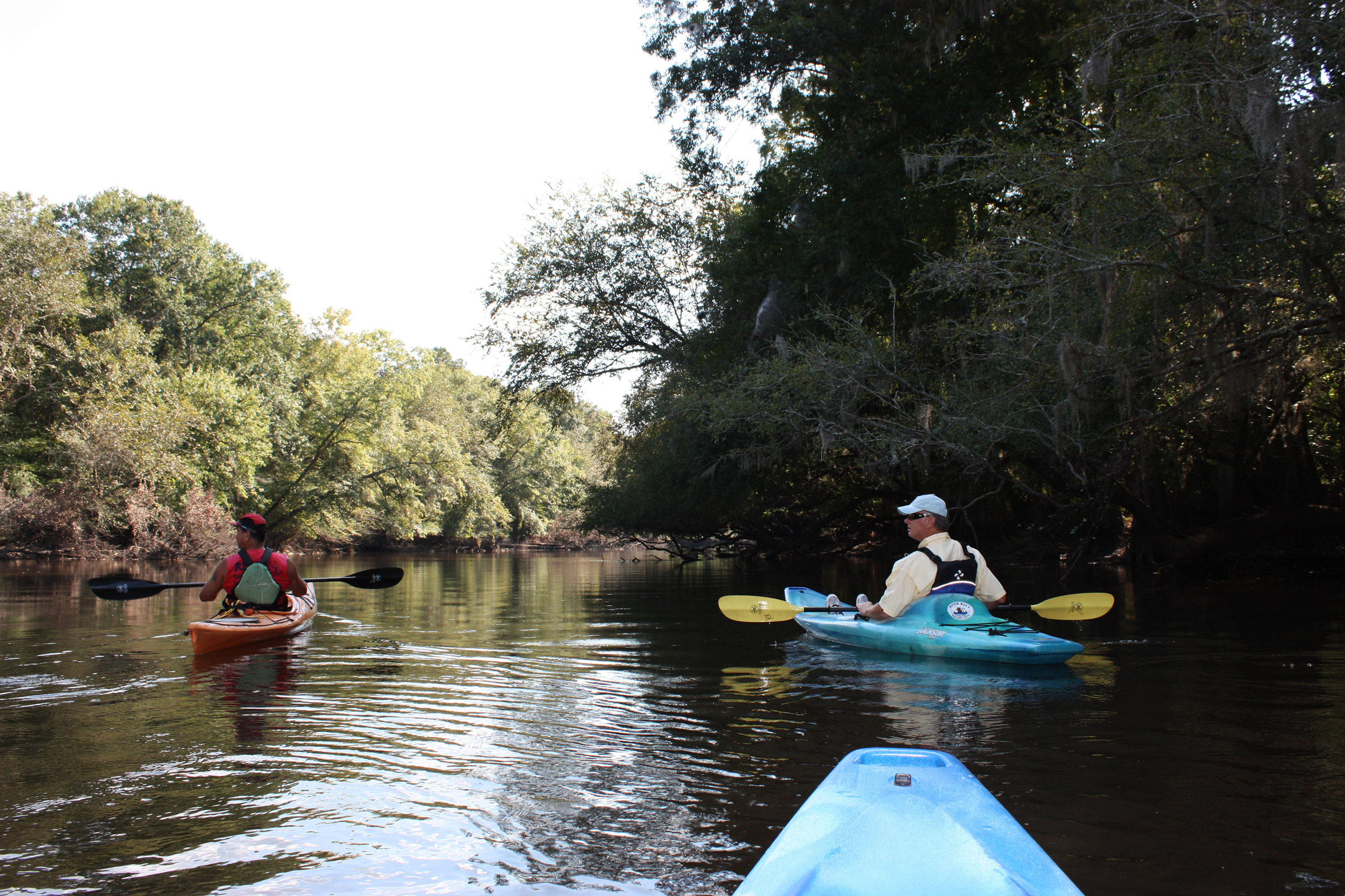 Upper portion of SC Revolutionary Rivers Trail