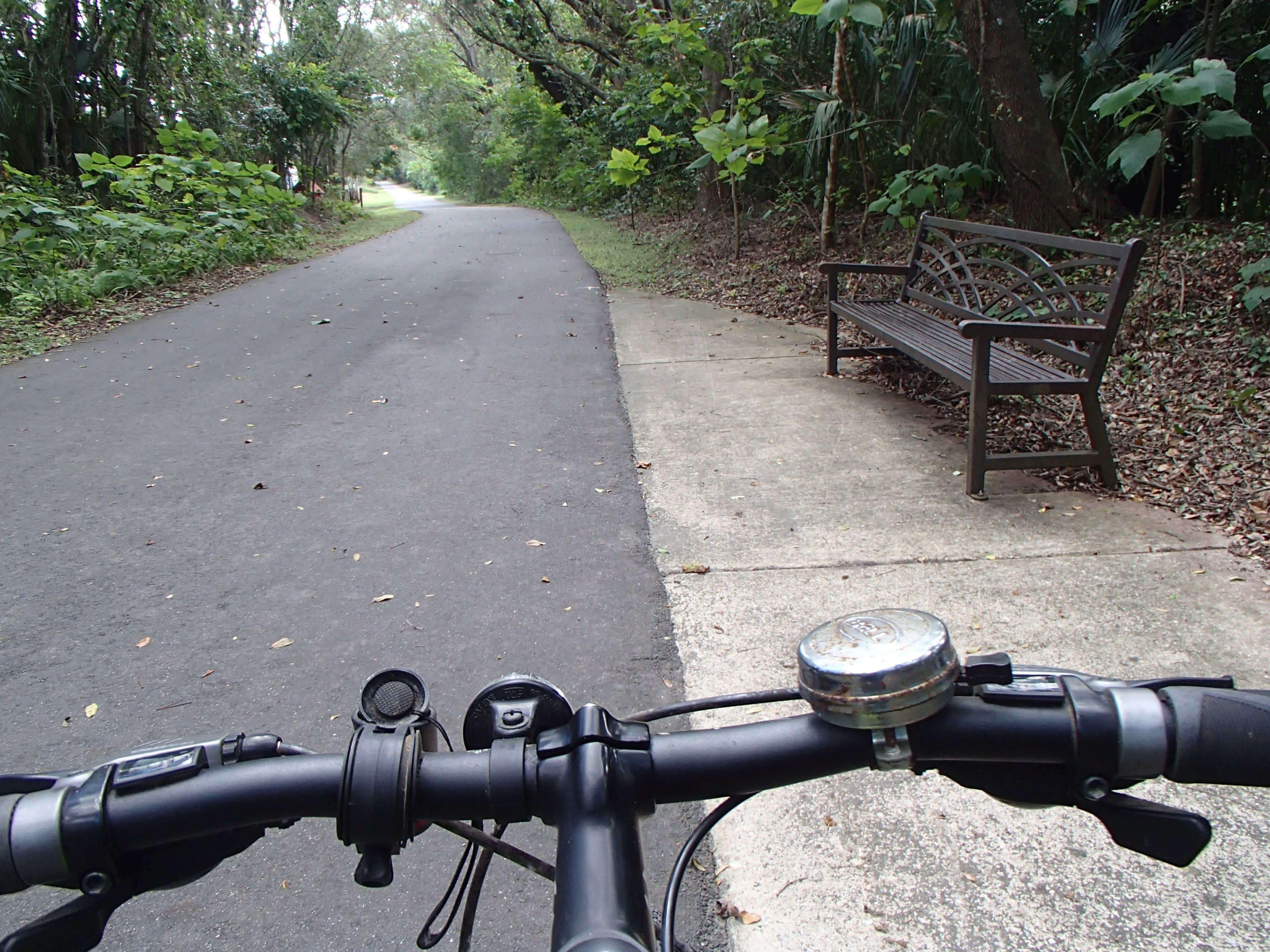 Trail view through the handlebars. Photo by Doug Alderson.