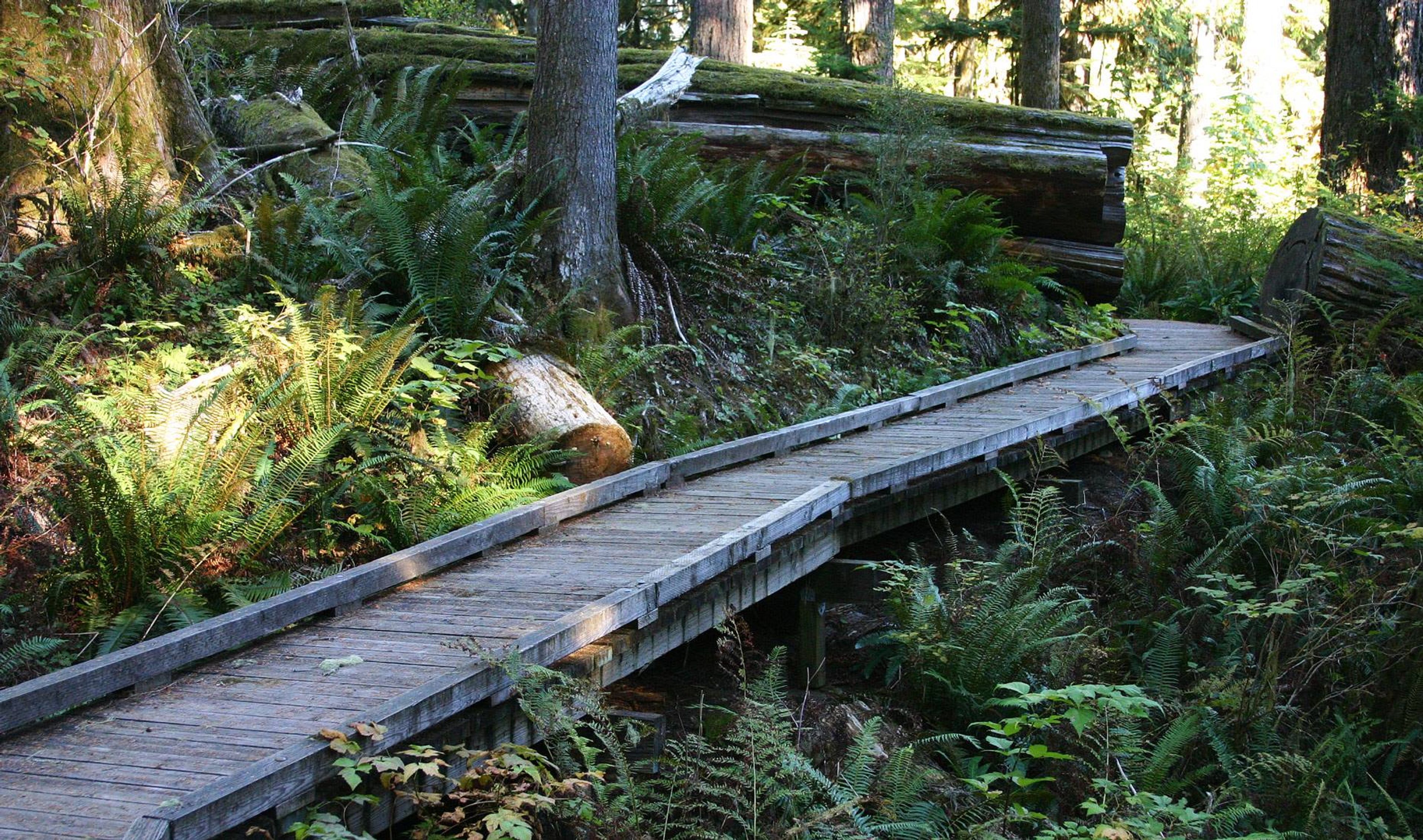 Accessible boardwalk on the Shadow of the Sentinels National Recreation Trail in Baker-Snoqualmie National Forest, WA. Photo by American Trails.