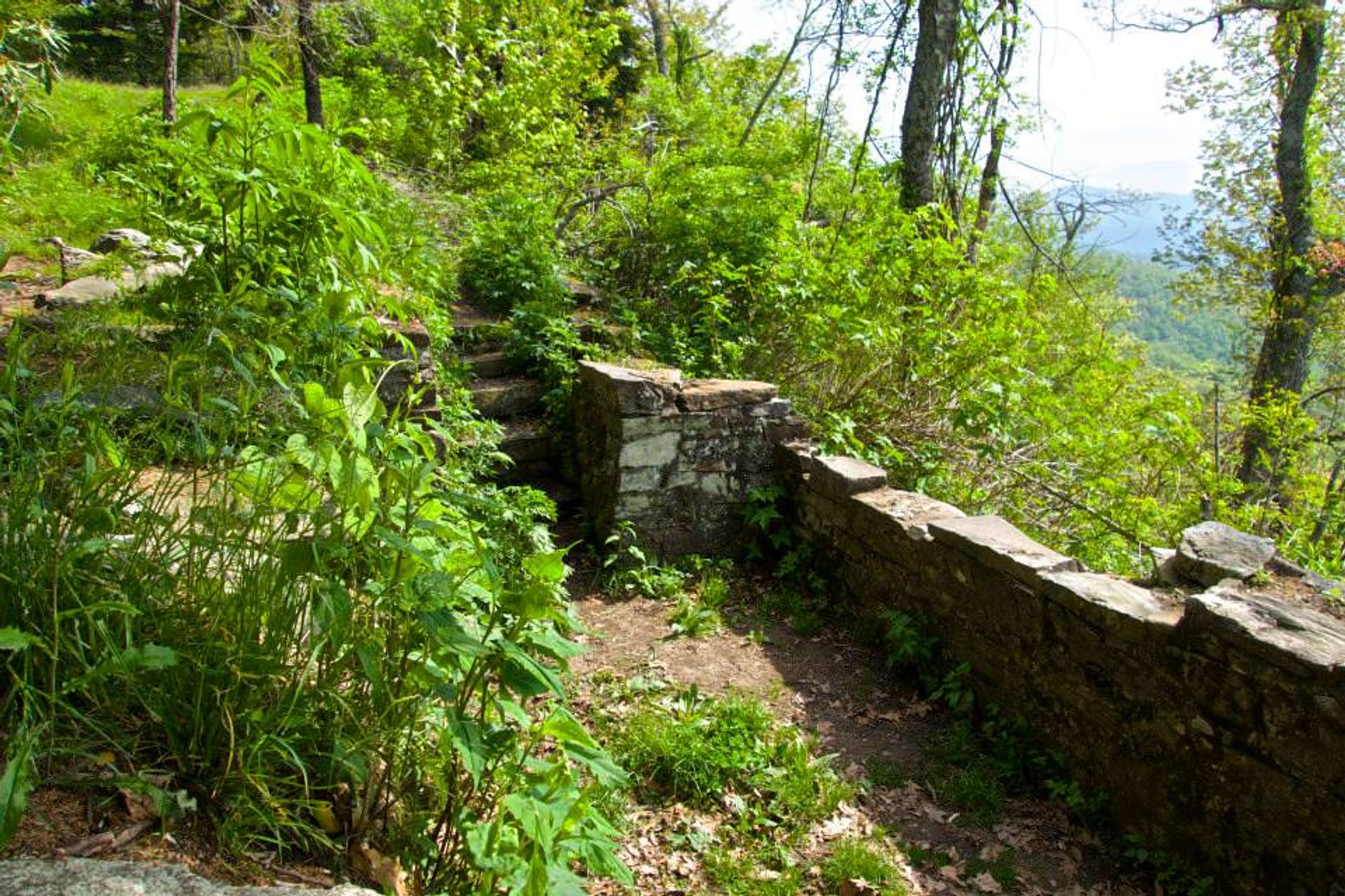 Remants of the Buck Spring Lodge on the Shut-In Trail. Photo by Ken Hurley.