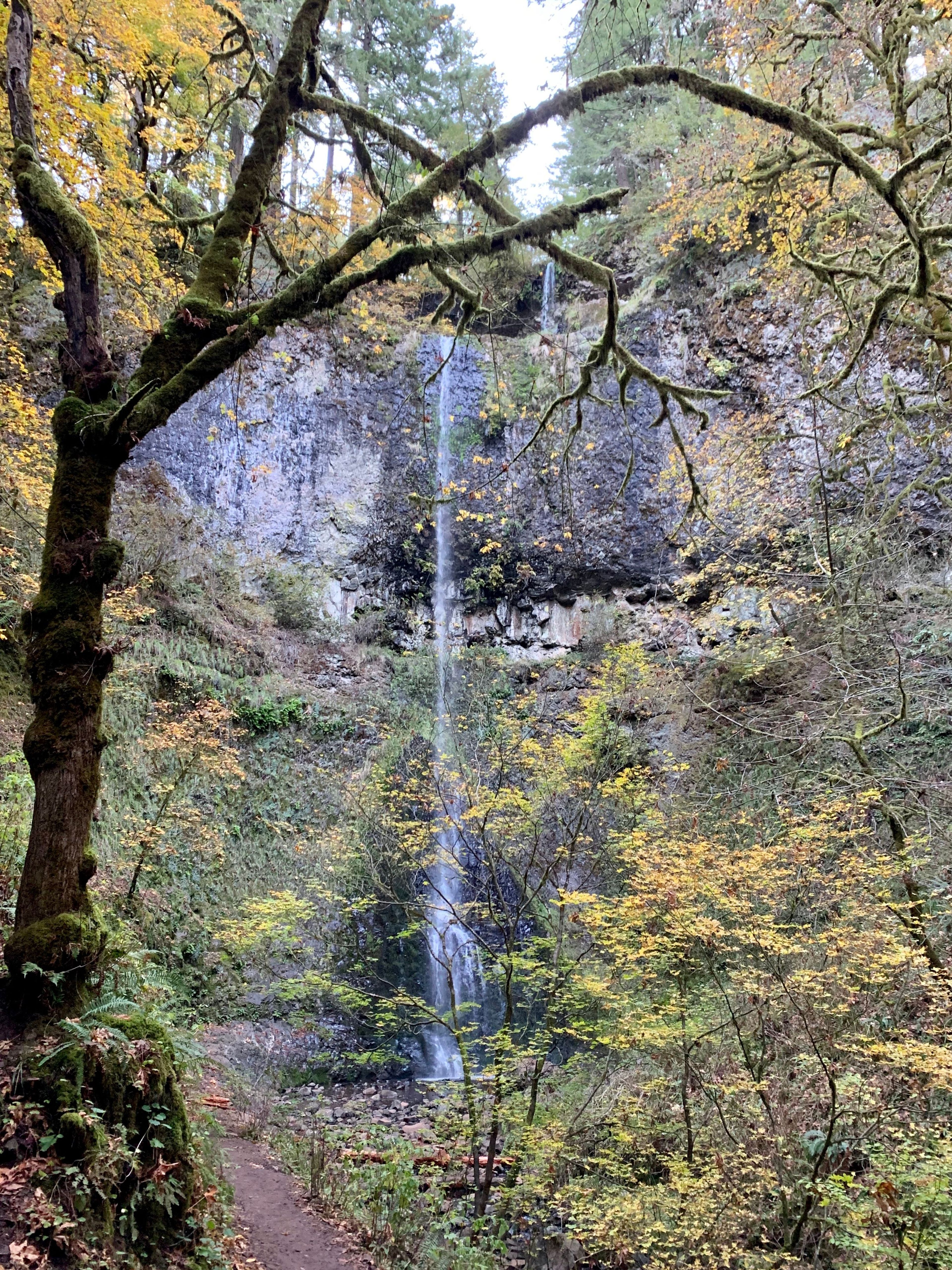 Twin Falls. Photo by EJD.