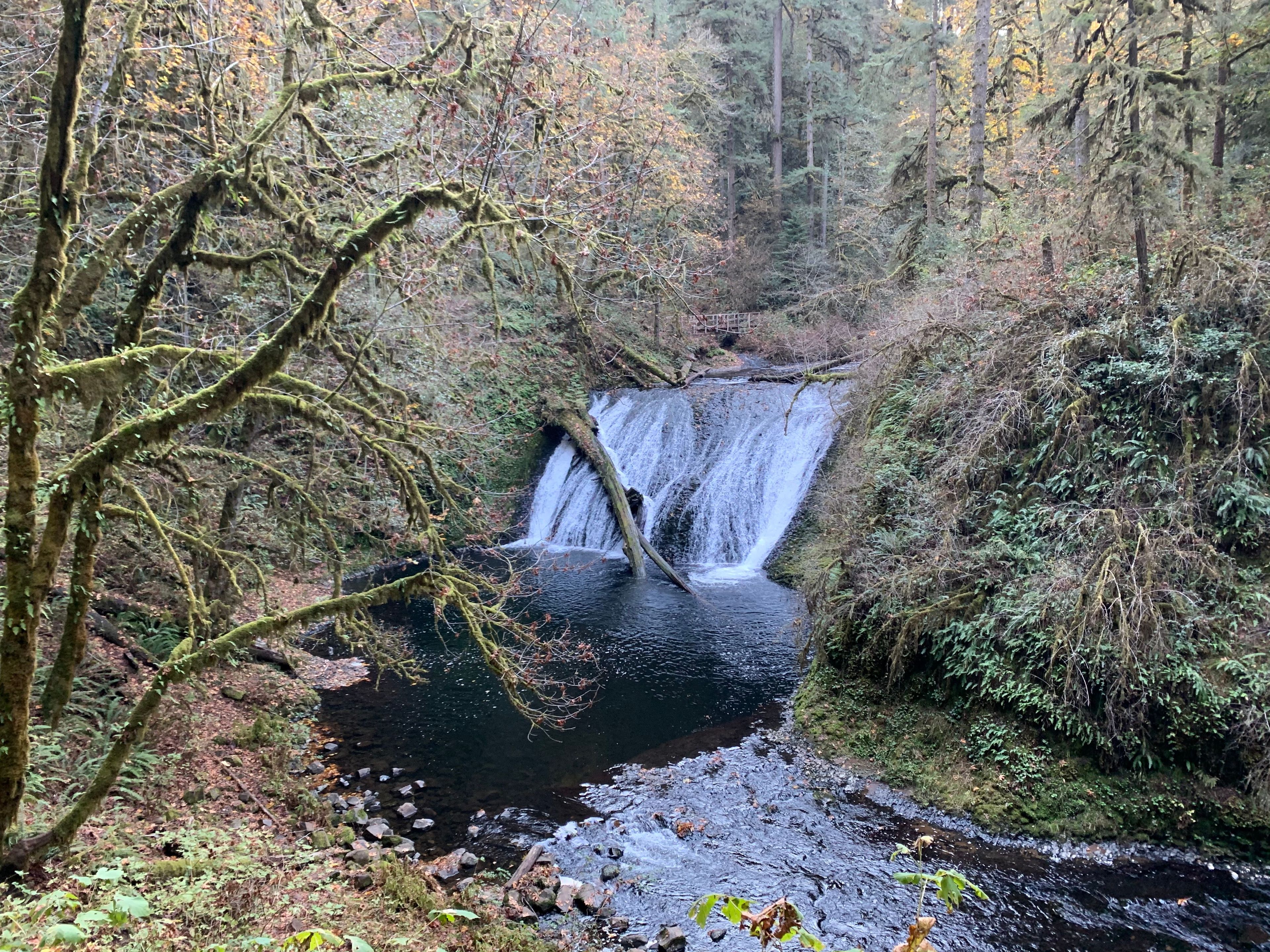 Lower North Falls. Photo by EJD.