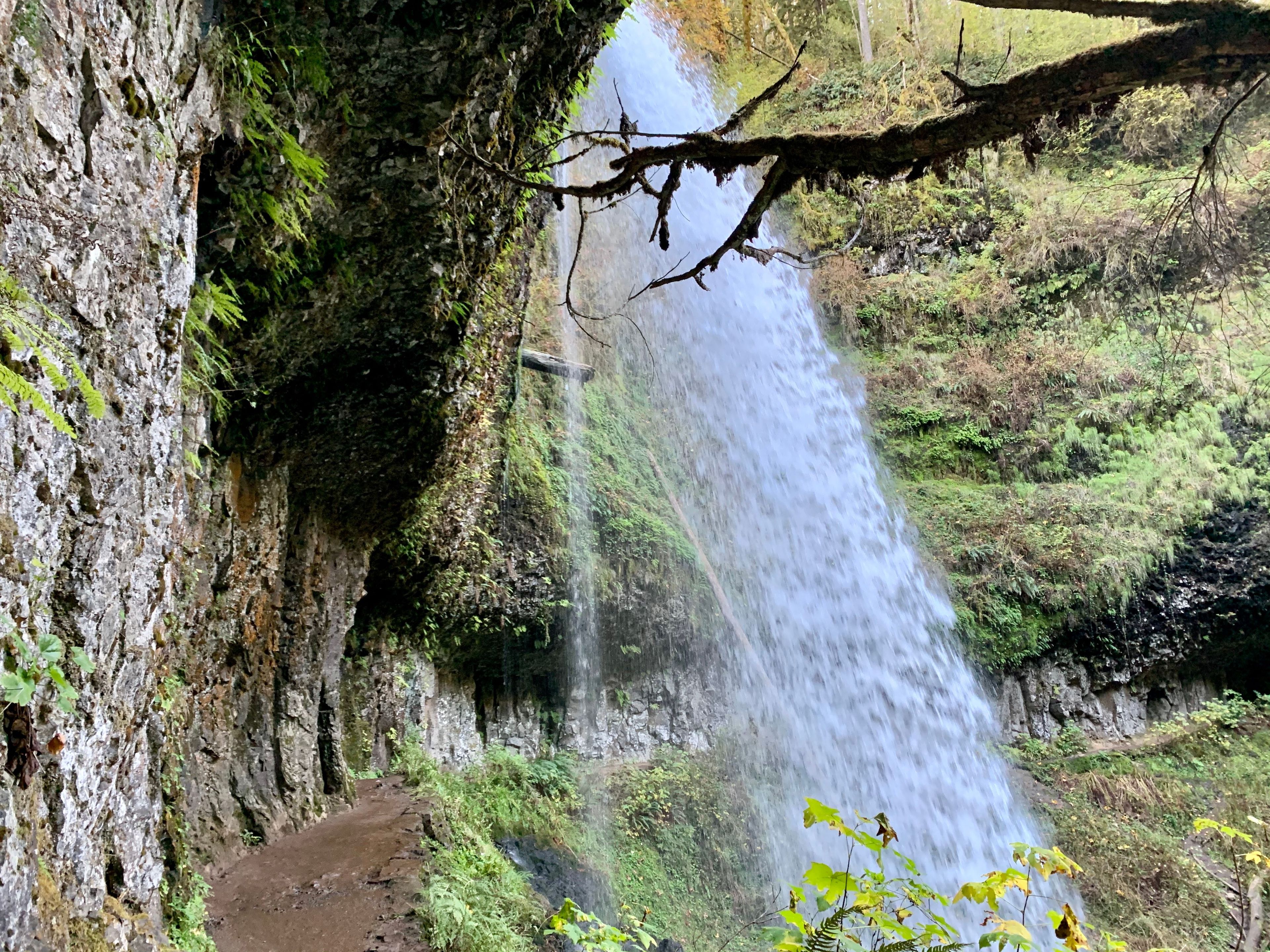 Love trails that allow you to hike behind falls!. Photo by EJD.