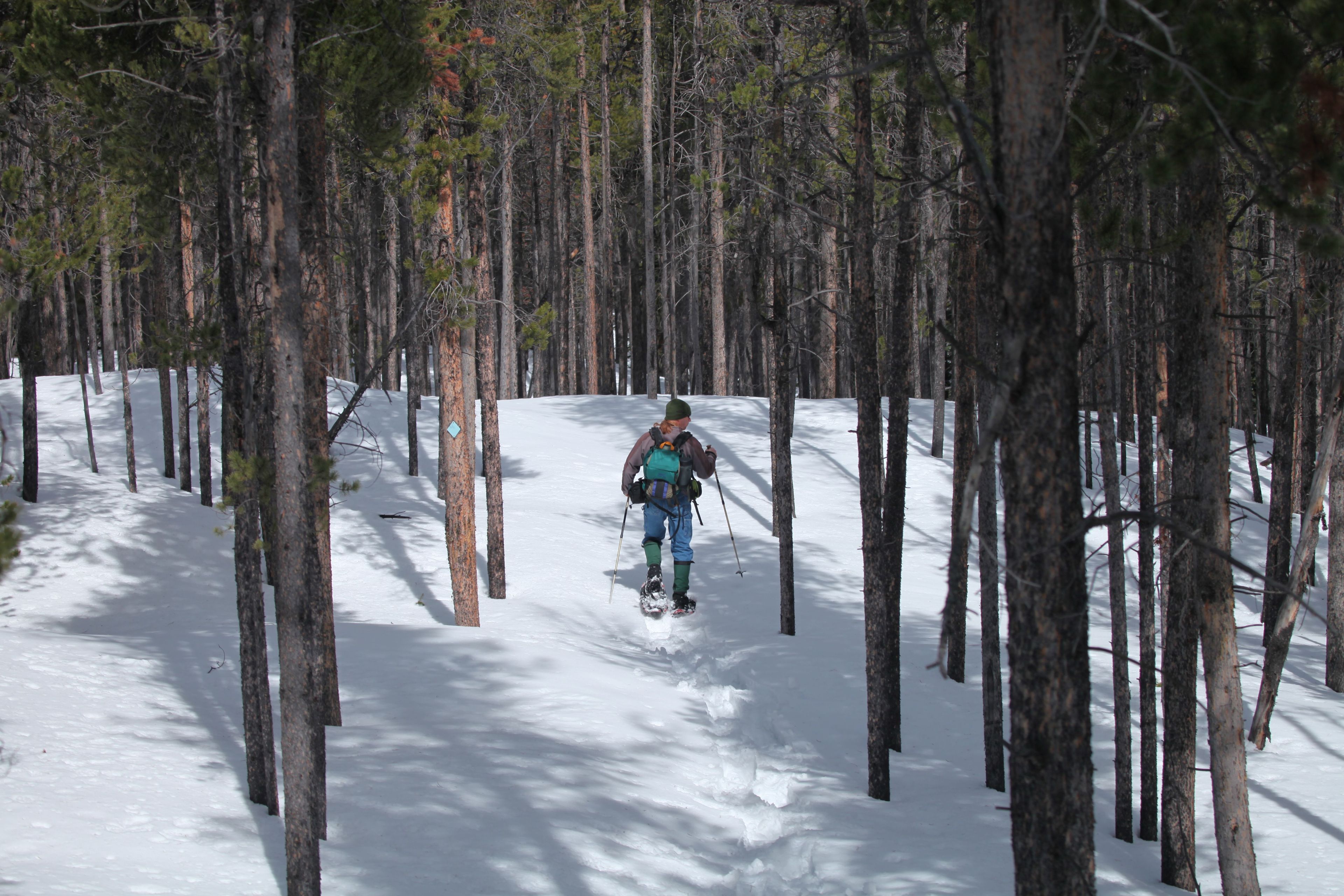 Snowshoeing on Silver Run National Recreation Trail #102. Photo by Nikki Yancey.