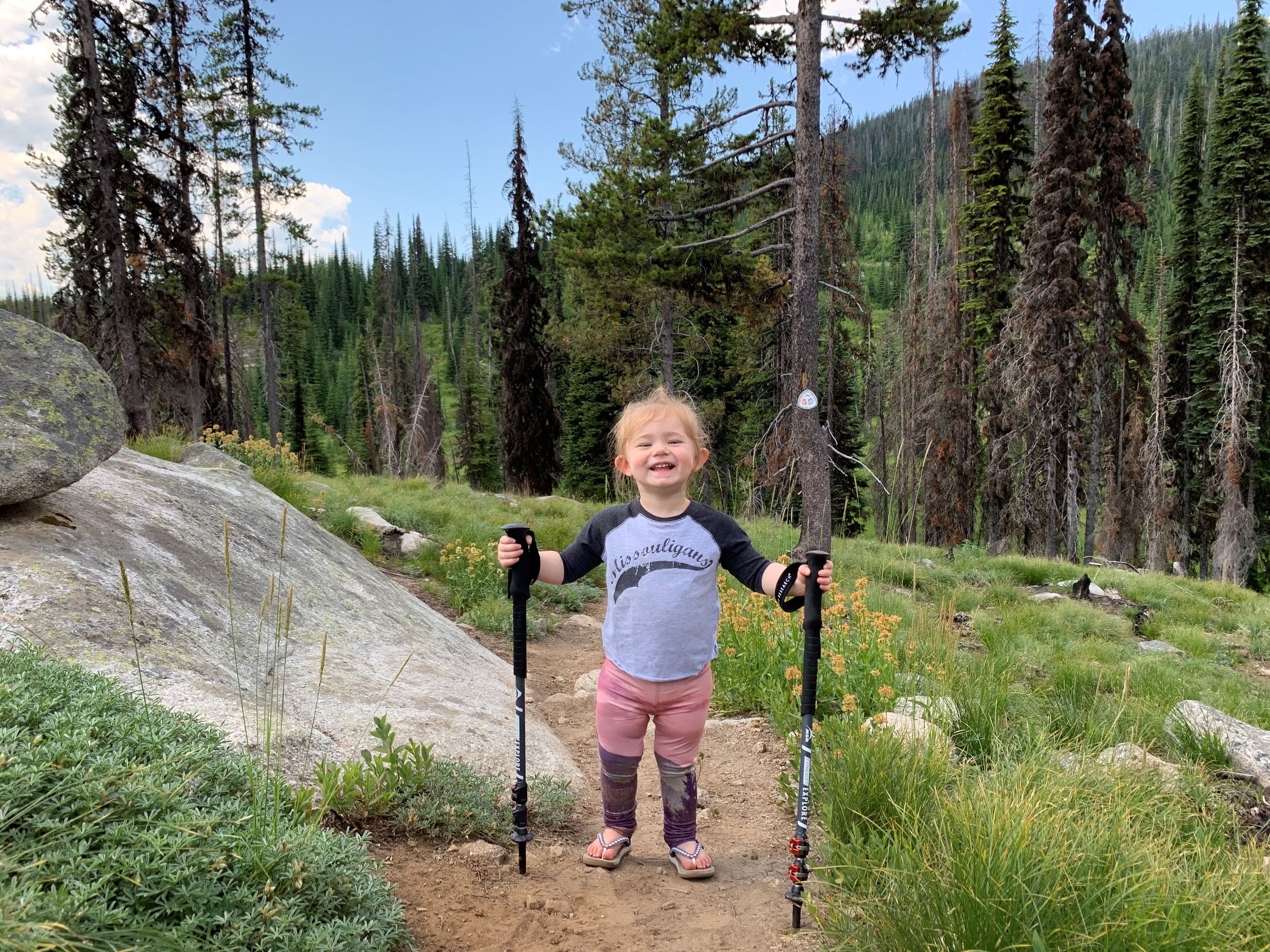 Two year old hiker learning to use trekking poles on local NRT. Photo by Indra Davis.