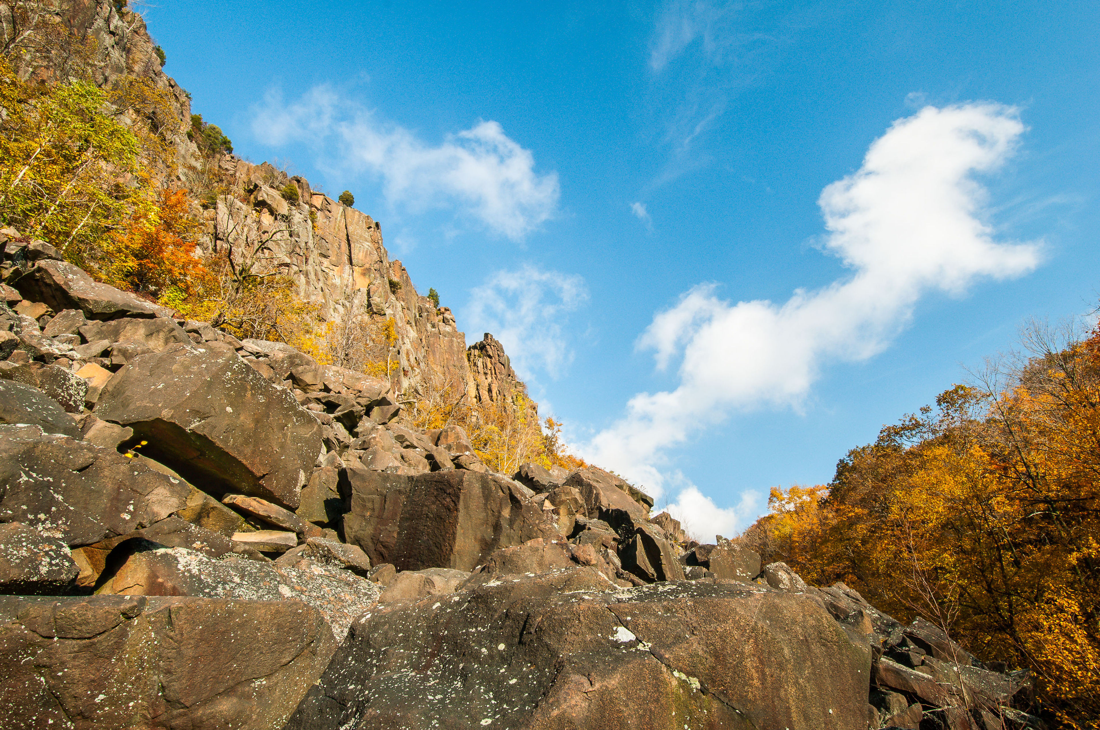 Sun-baked talus slope abuts the dense woodlands of Sleeping Giant. Photo by Justin Coleman.