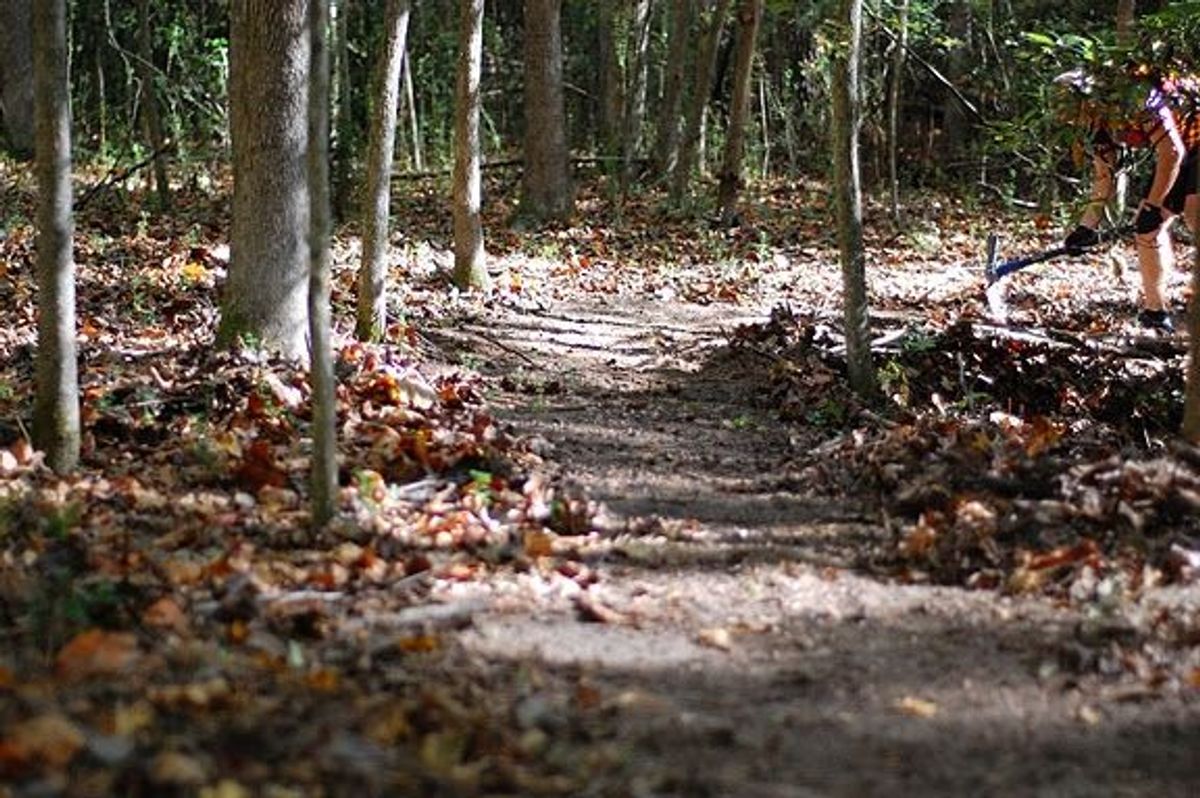 Work day Sokol Park Trails WAMBA