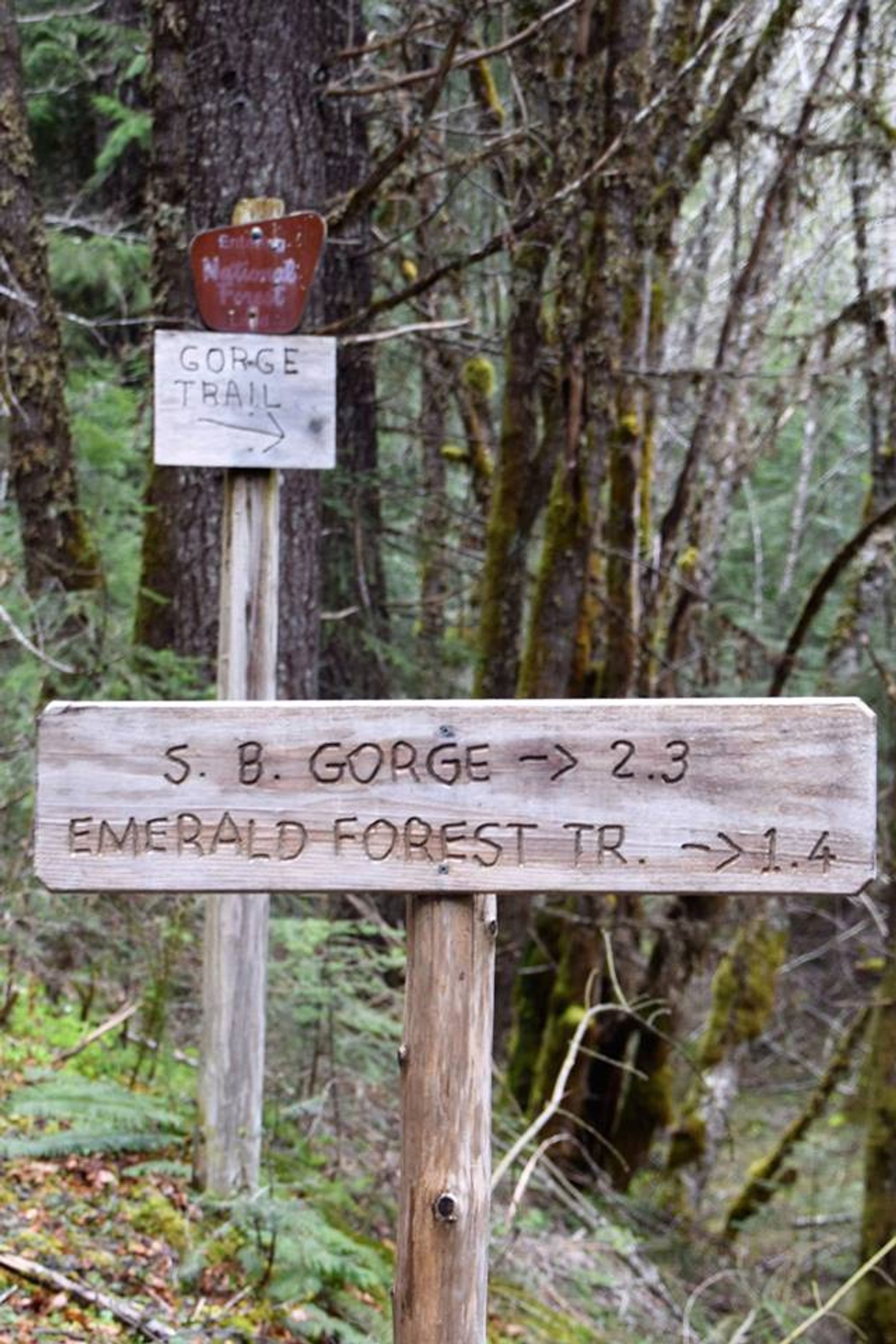 Trail sign to South Breitenbush Gorge (https://www.confettitravelcafe.com/). Photo by Nancy Zaffaro.