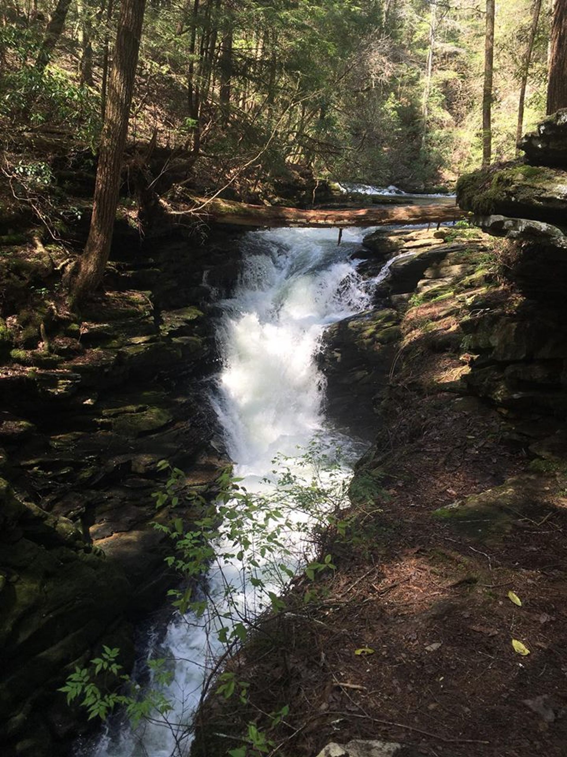 One of the many waterfalls along the trail system. Photo by So Cumberland State Park.