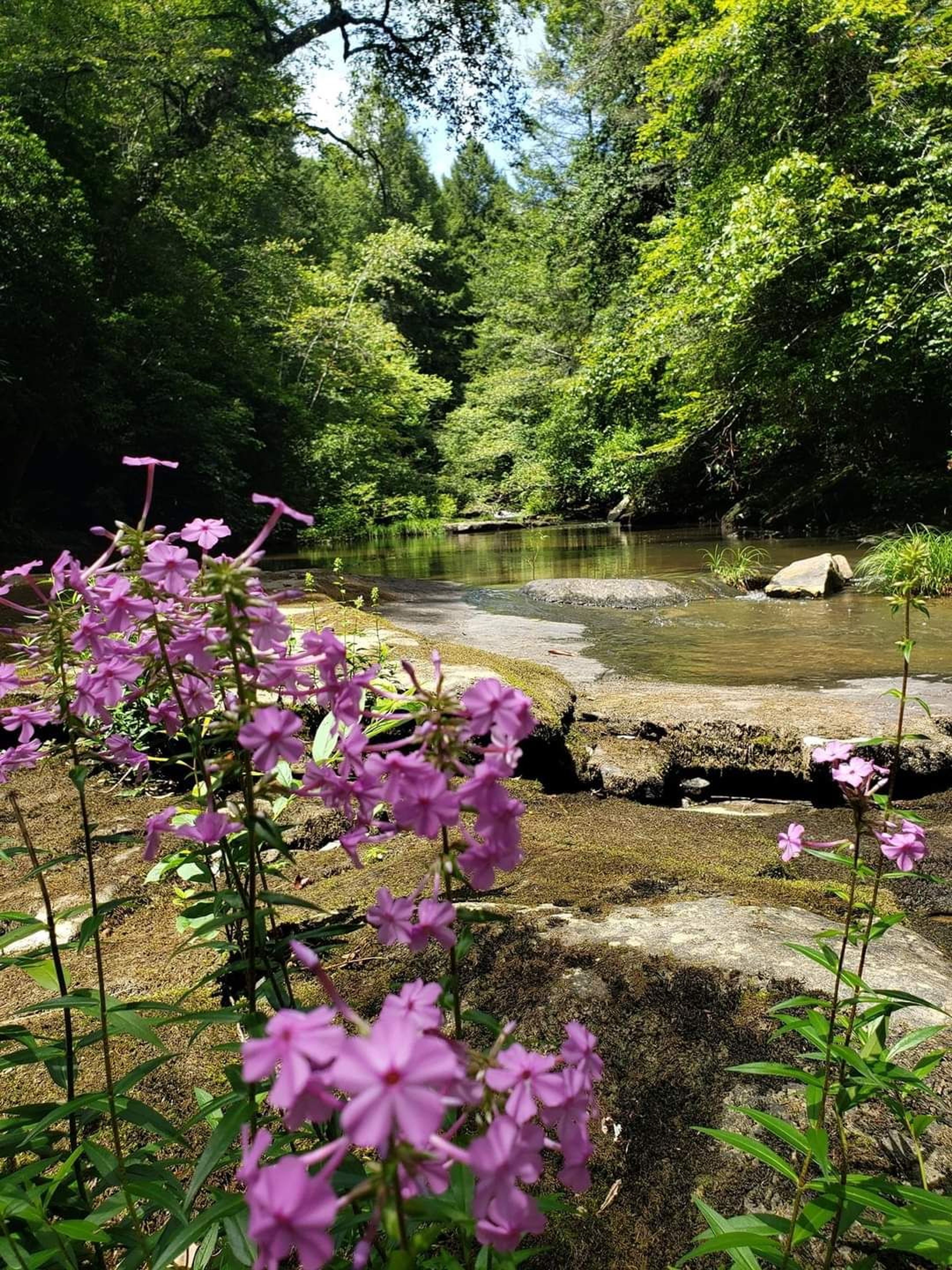 A refreshing summer day spent on the Greeter Falls/Blue Hole Trail. Photo by Shannon Ours.