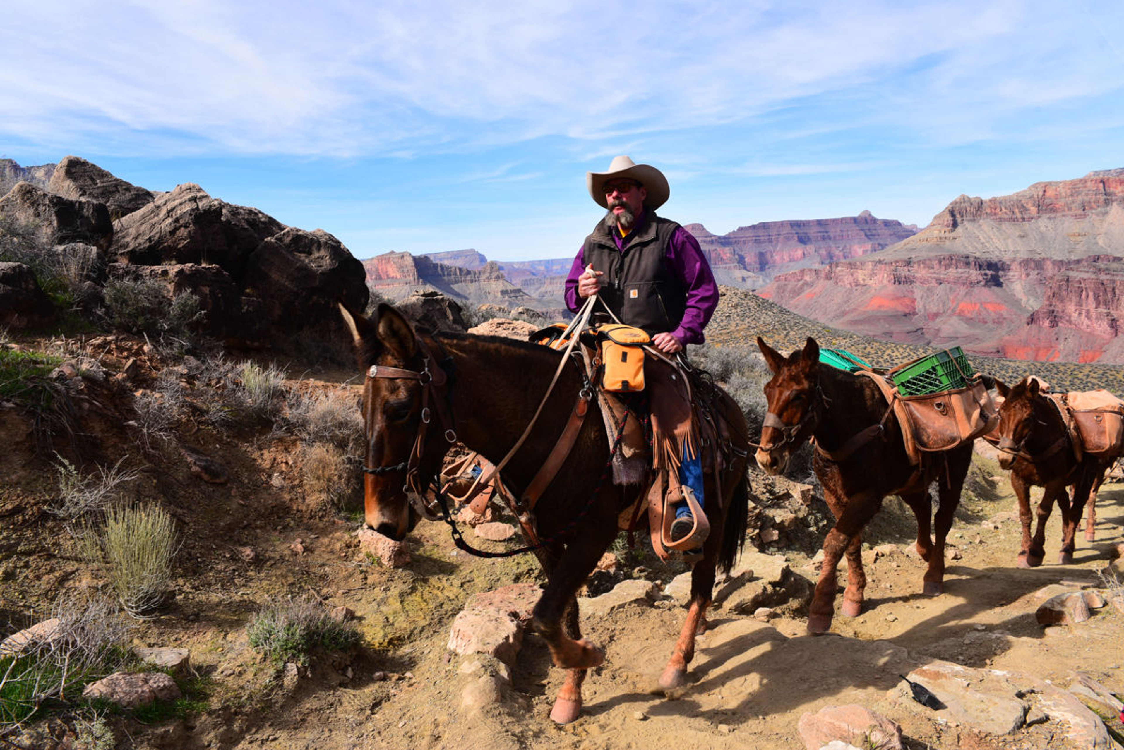 Crew members from the American Conservation Experience maintaining the South Kaibab Trail. Photo by Jessica Plance.