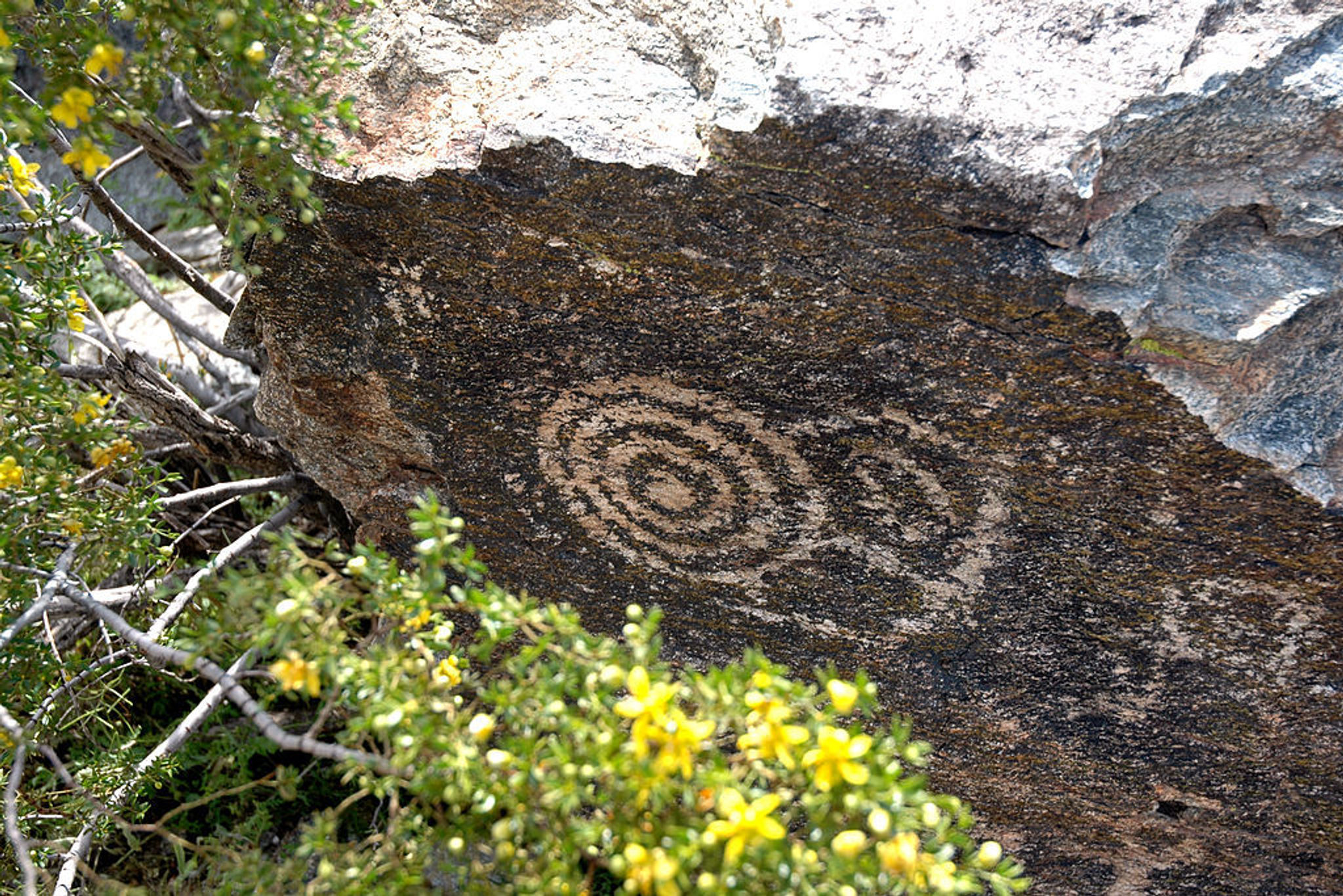 Petroglyphs in South Mountain Park, Phoenix, Arizona. Photo by Brandon Wiggins/wiki.