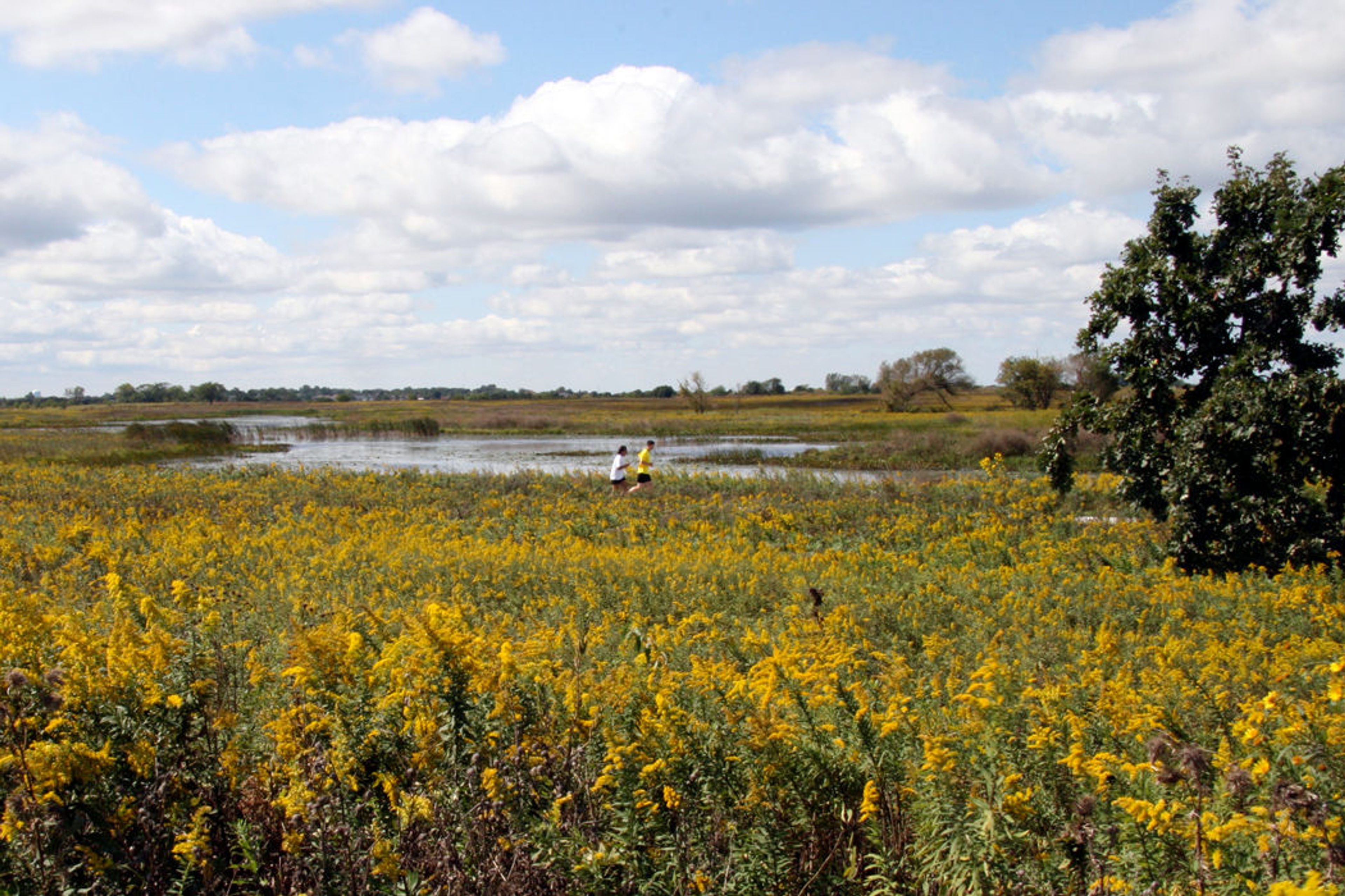 Part of the 1,840 acres of open space.