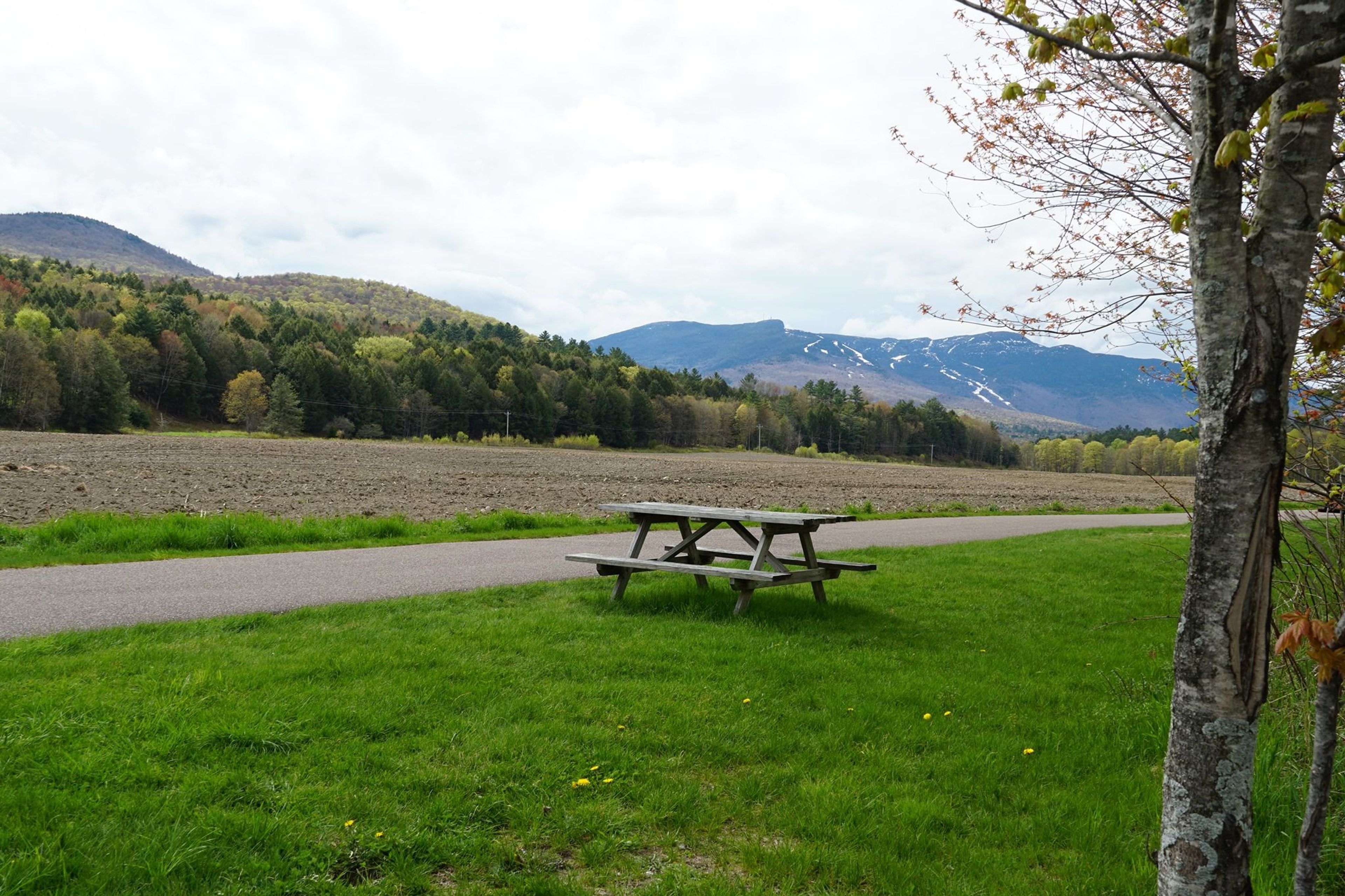 Field and mountain view. Photo by Stowe Area Association.