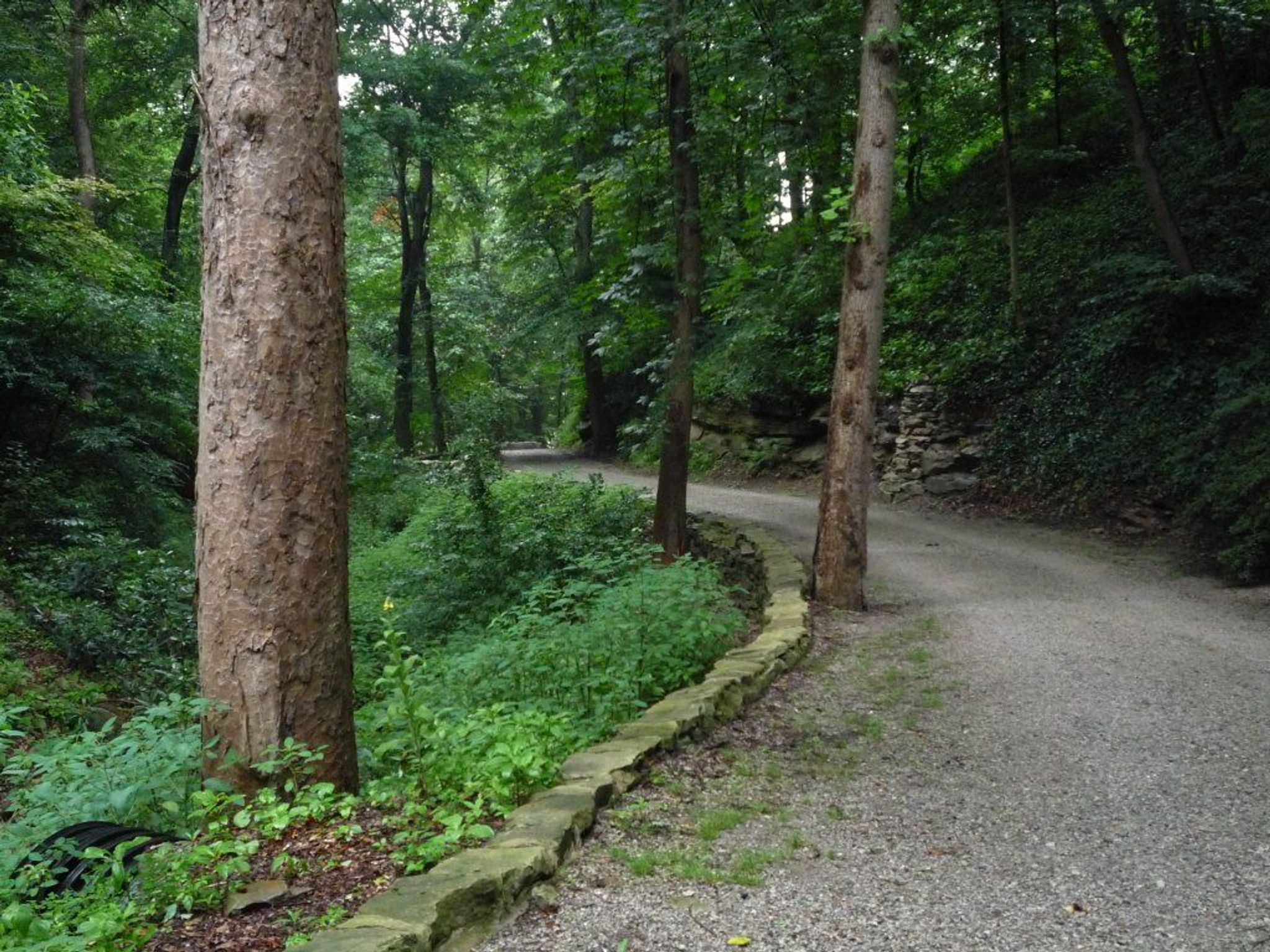 Near the top of the Carriage Trail